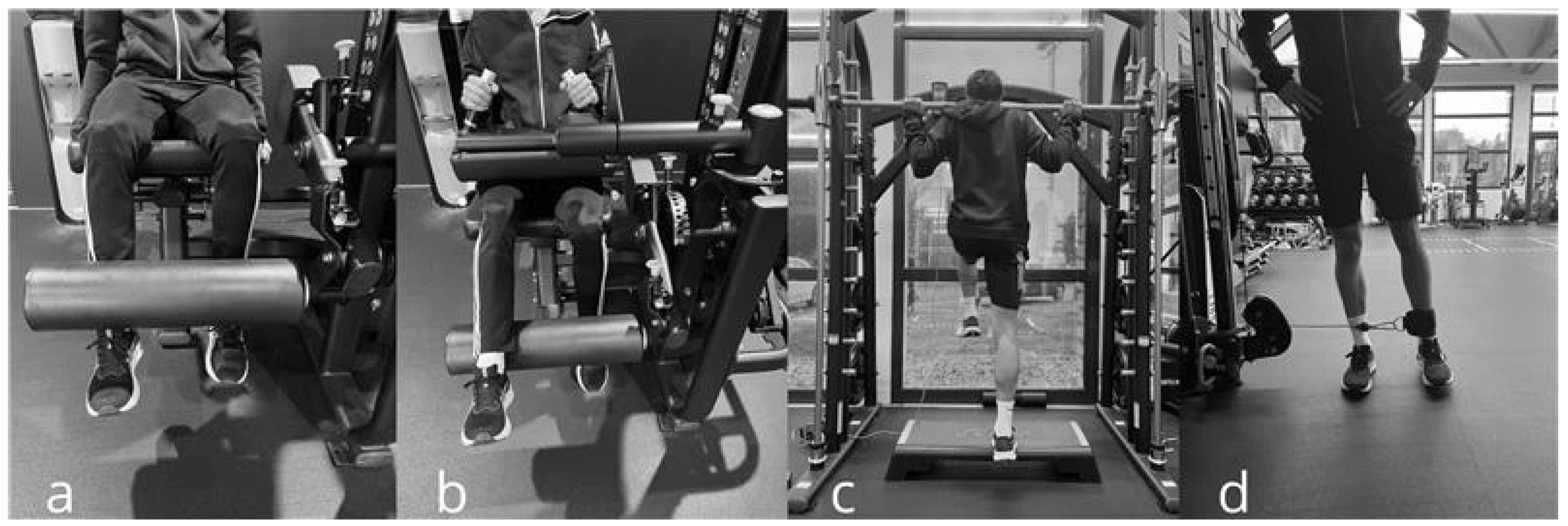 Sports 13 00419 g003