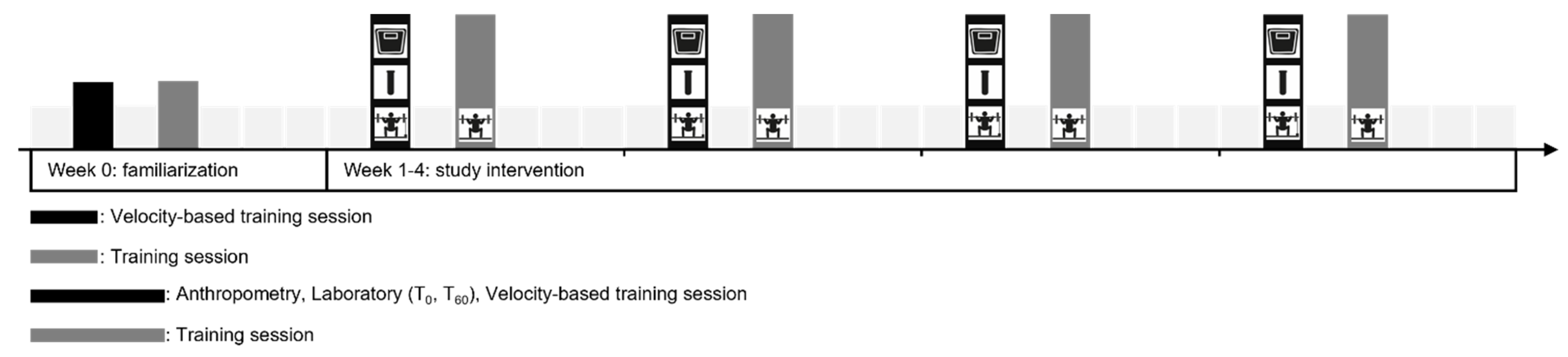 Sports 13 00426 g001