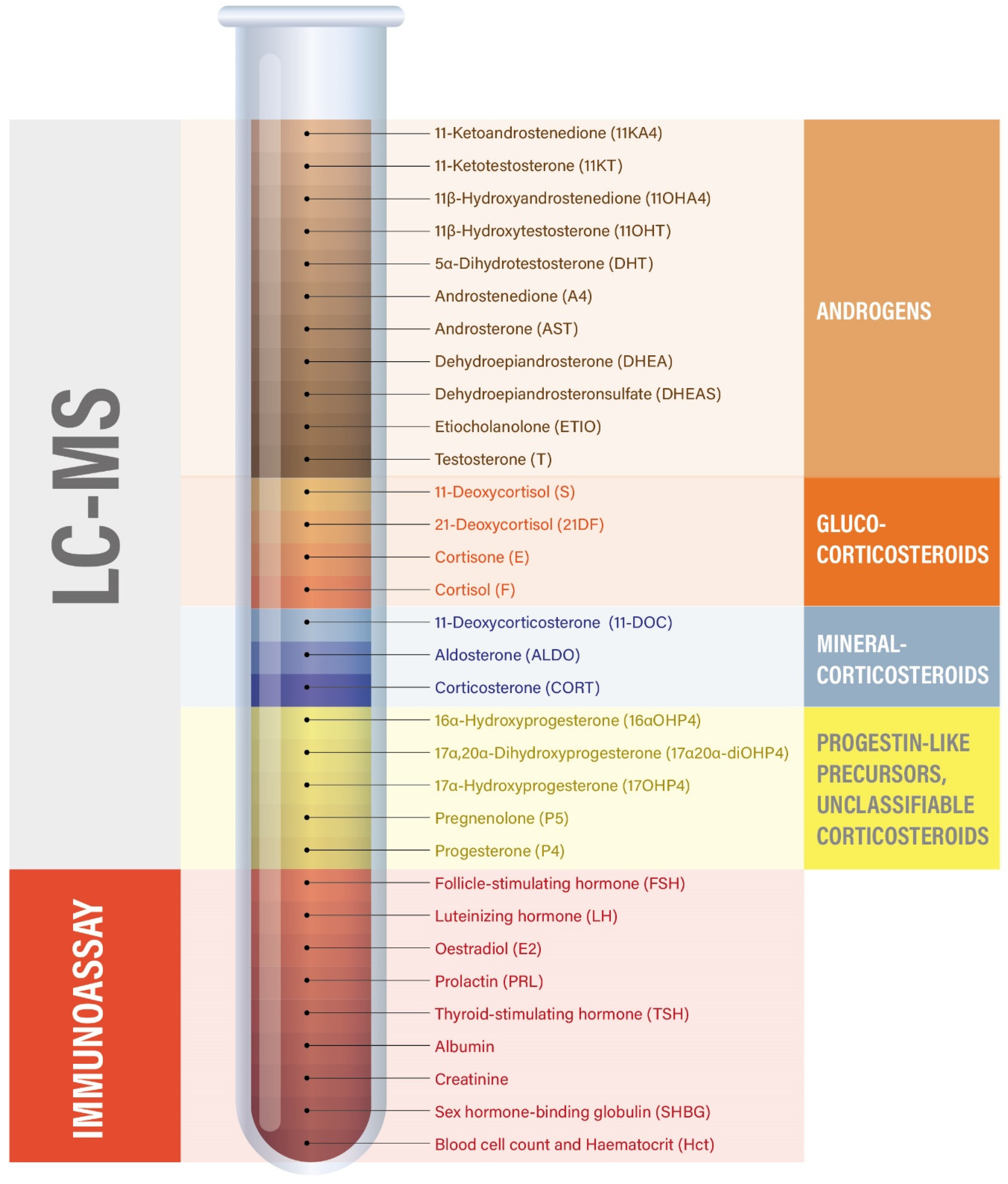 Sports 13 00426 g002