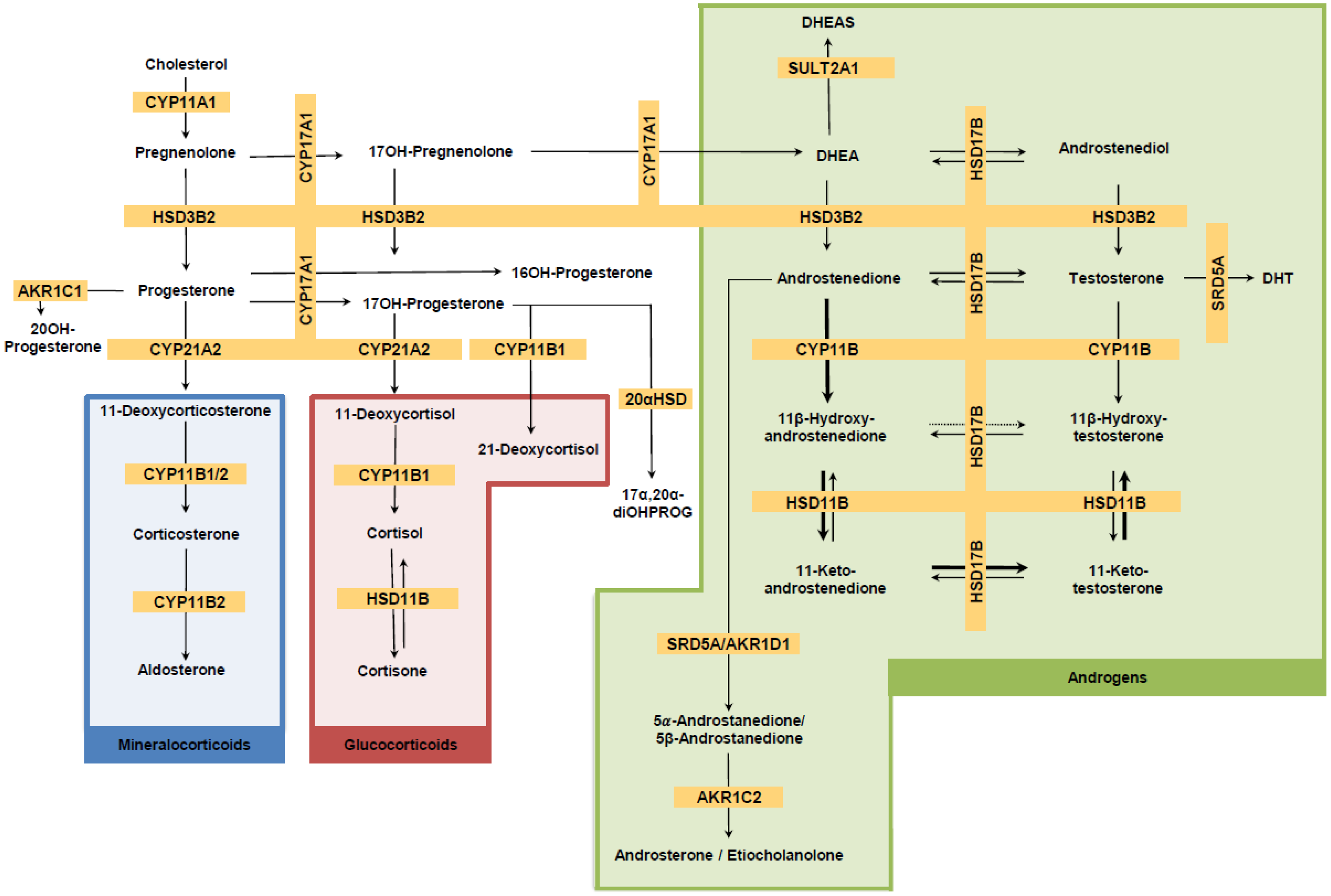 Sports 13 00426 g003