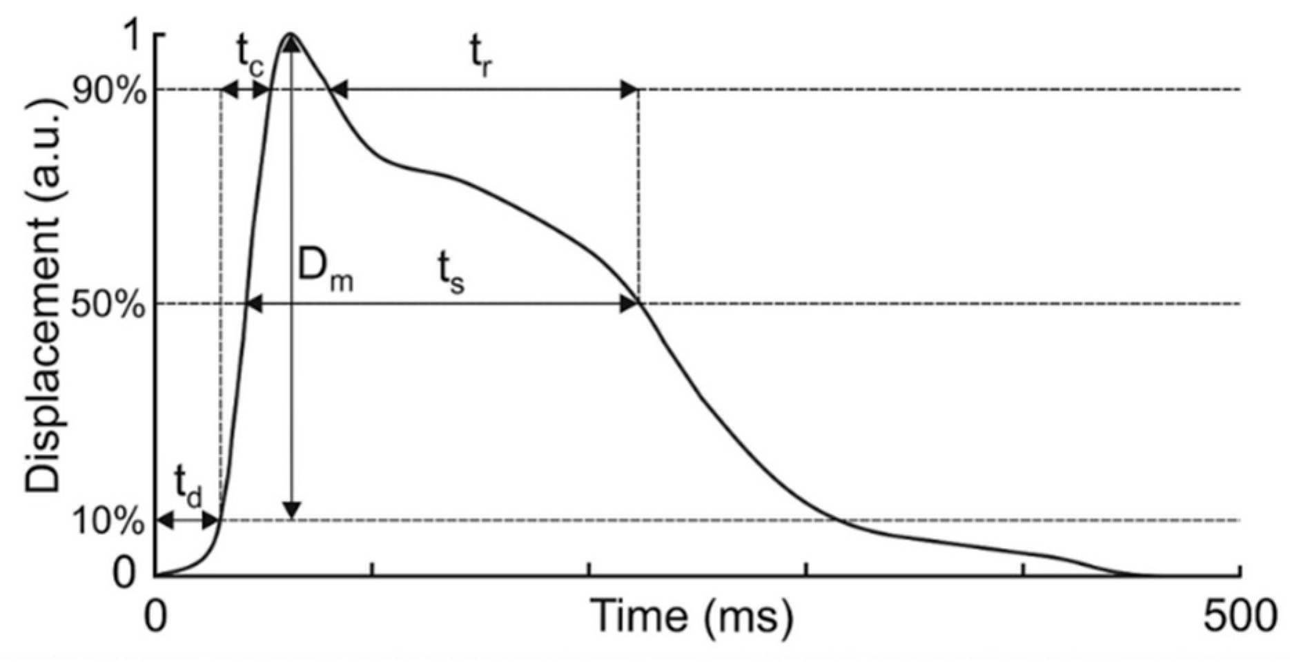 Sports 13 00437 g001