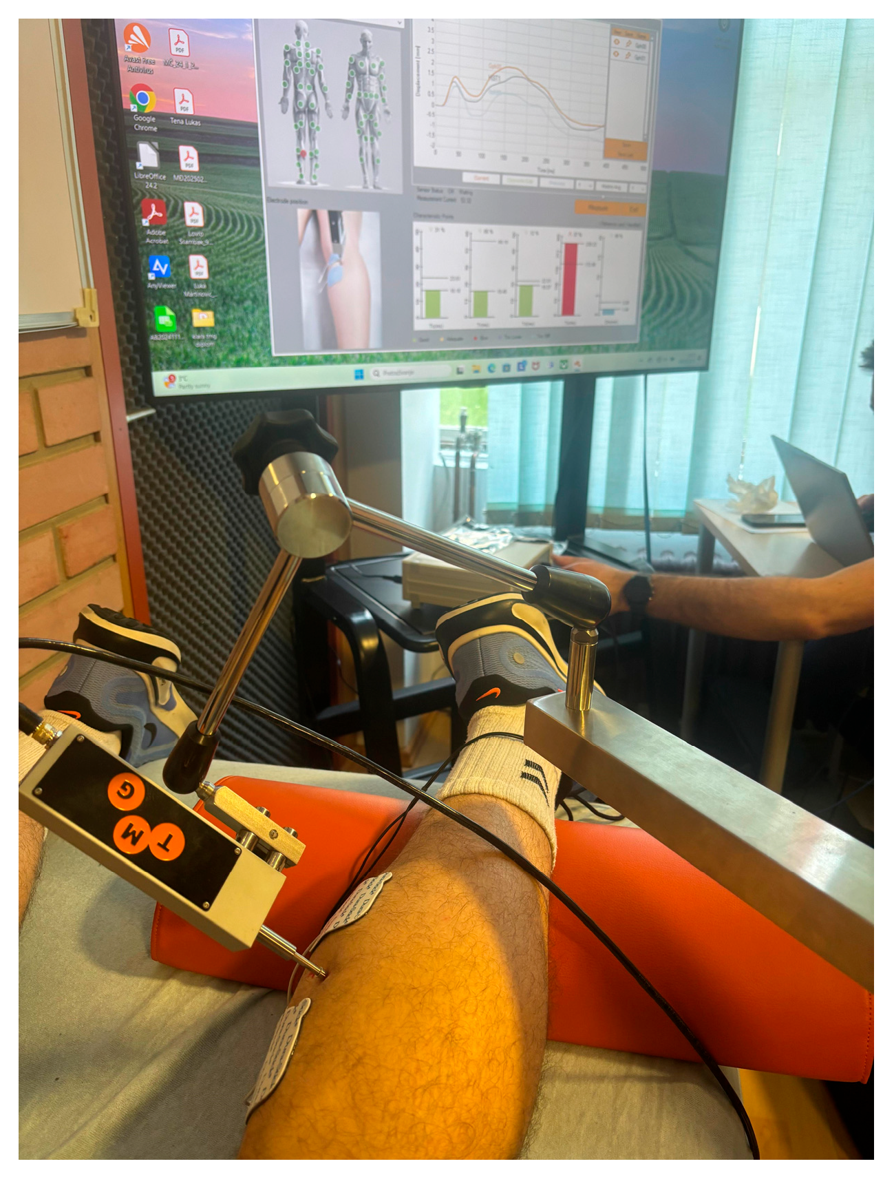 Sports 13 00437 g002