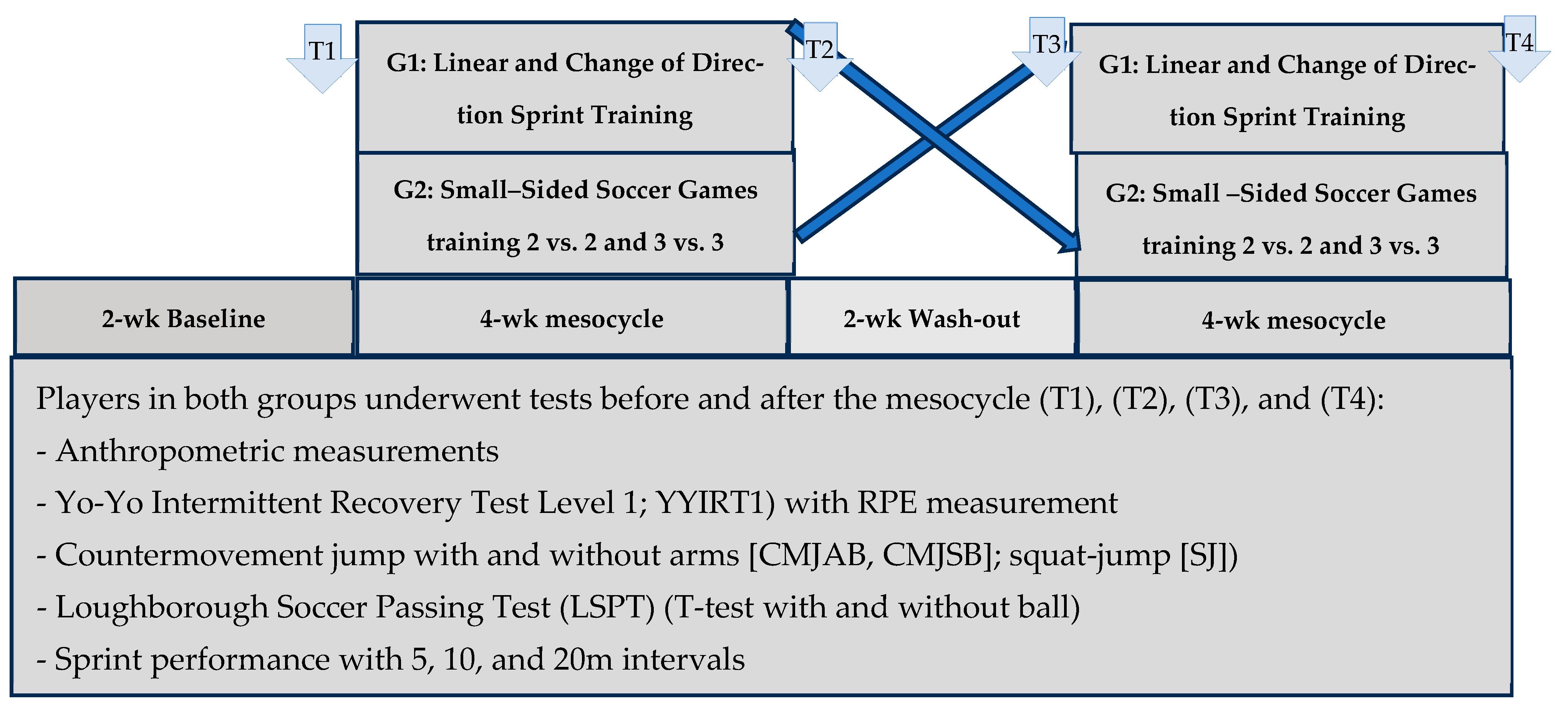 Sports 13 00445 g001