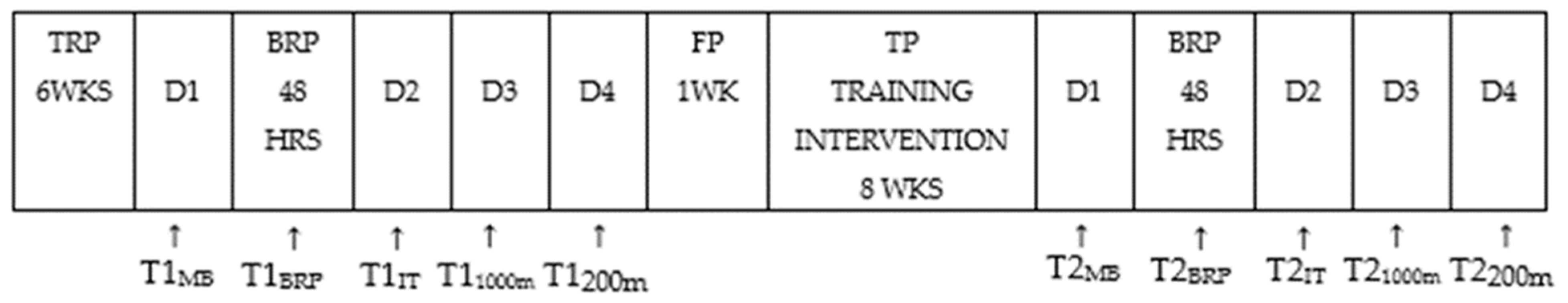 Sports 13 00451 g001 Sports 13 00451 g001