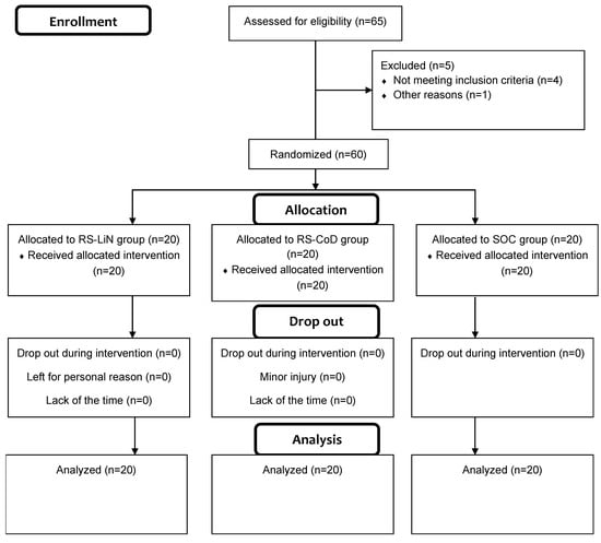 Flow chart diagram of participants’ enrolment, randomization and final analysis.