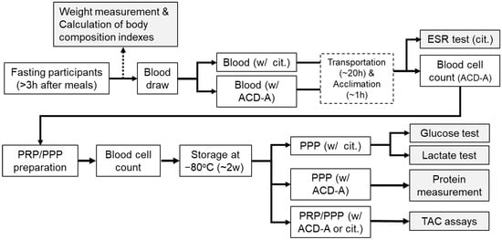 Experimental design and schedule.