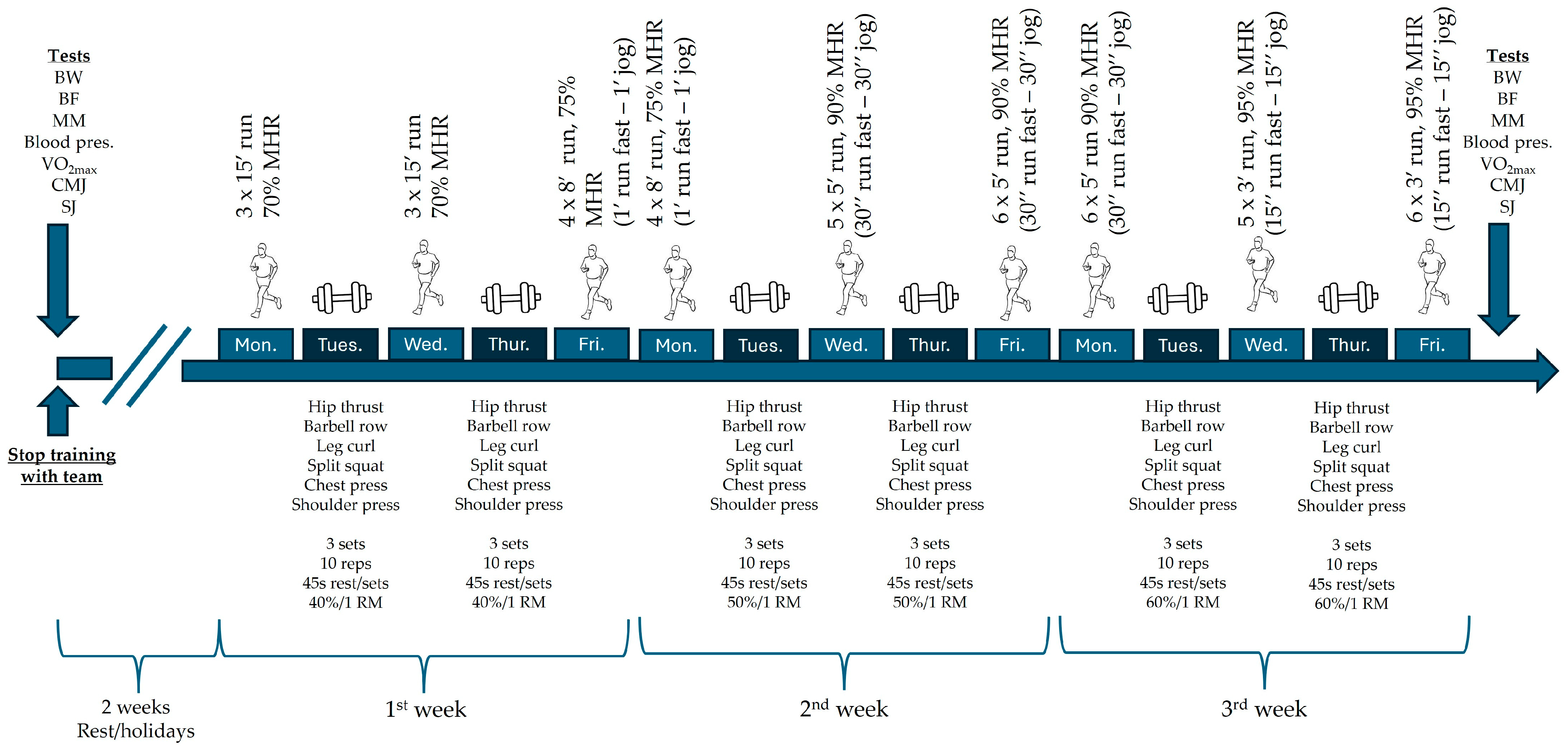 Sports 14 00088 g001