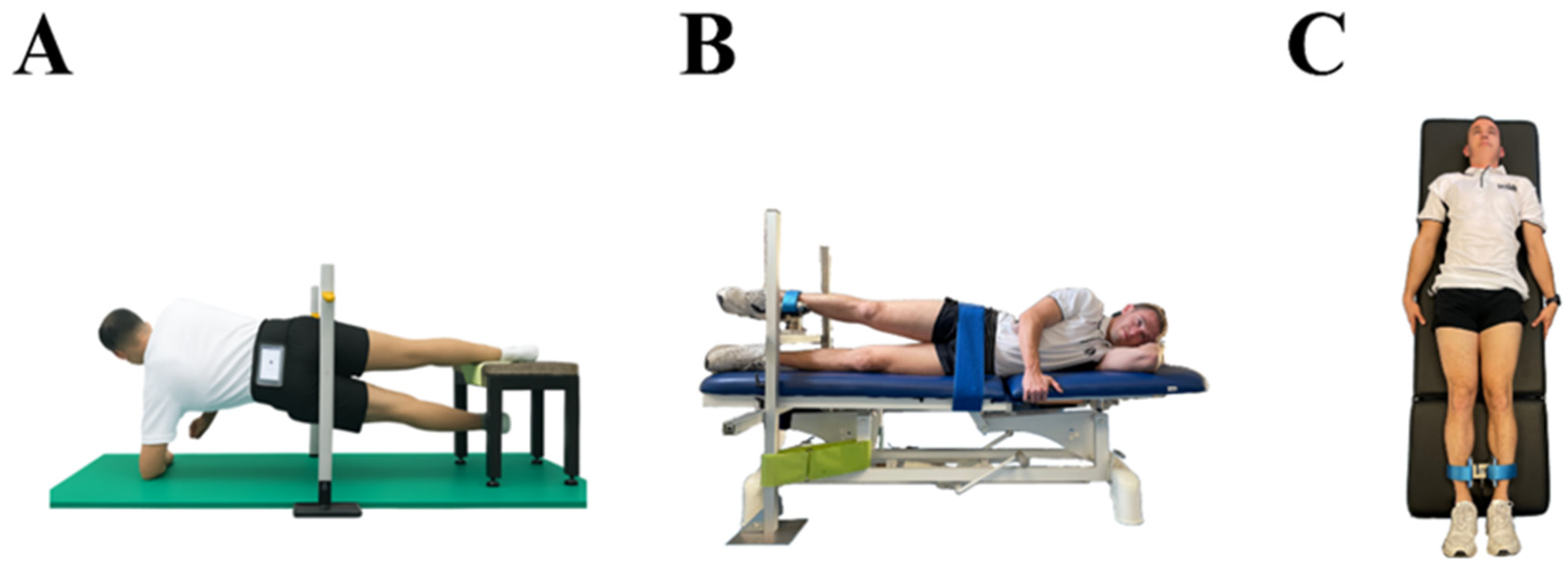 Sports 14 00125 g001