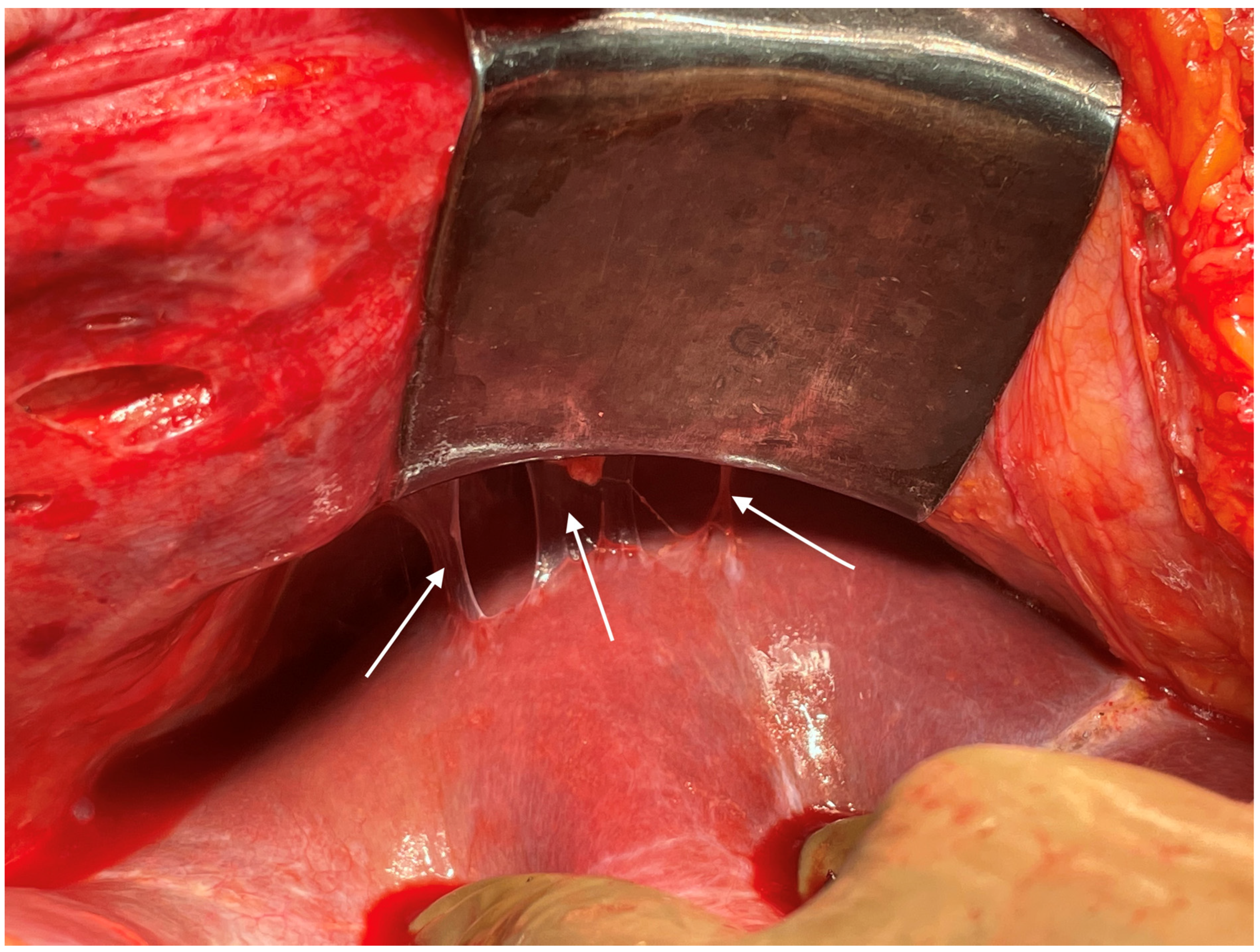 Std 12 00001 g005 Std 12 00001 g005