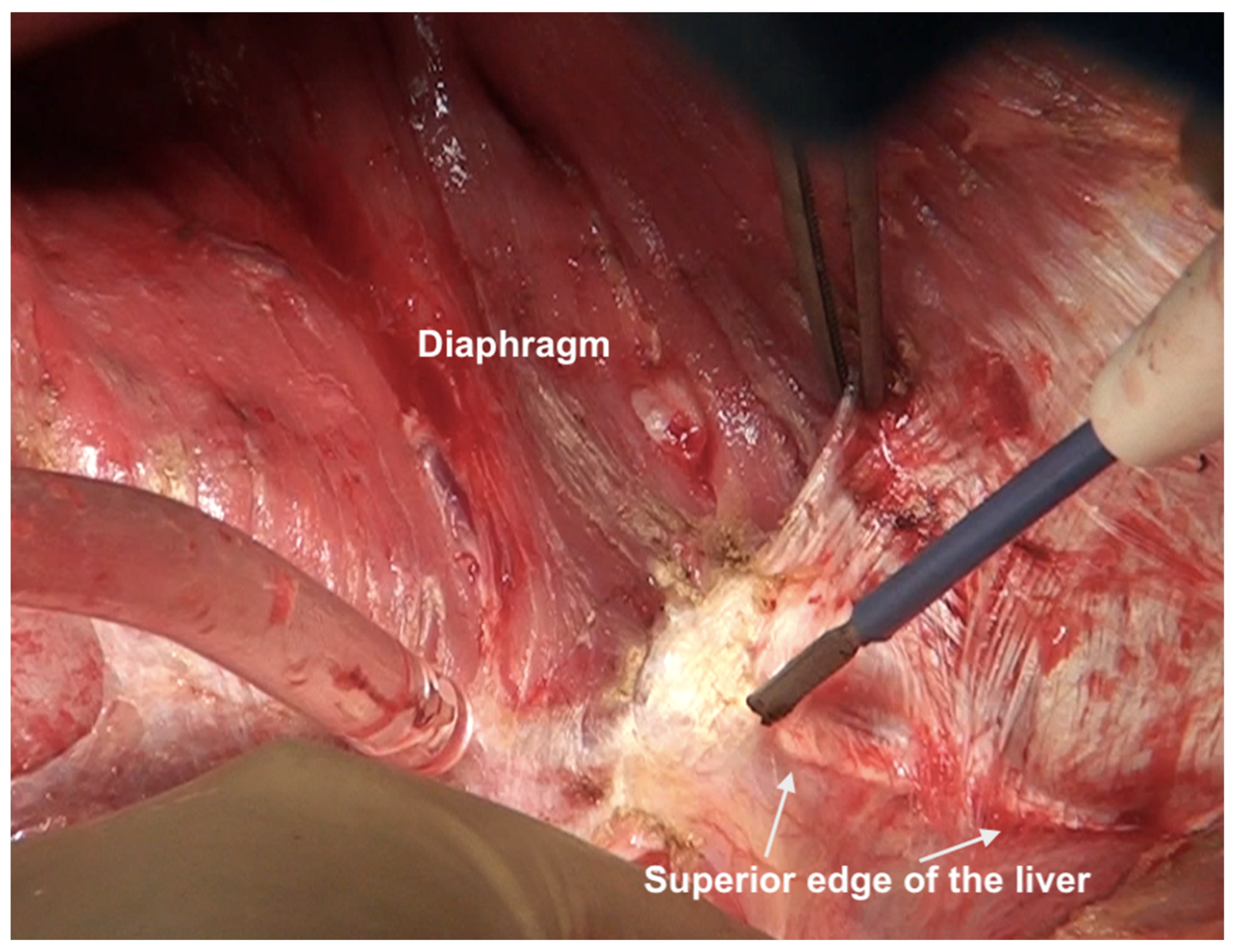 Std 12 00001 g008 Std 12 00001 g008