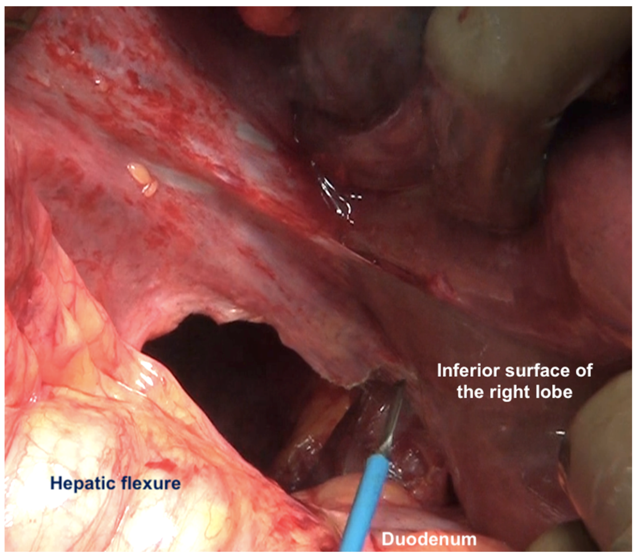 Std 12 00001 g011 Std 12 00001 g011