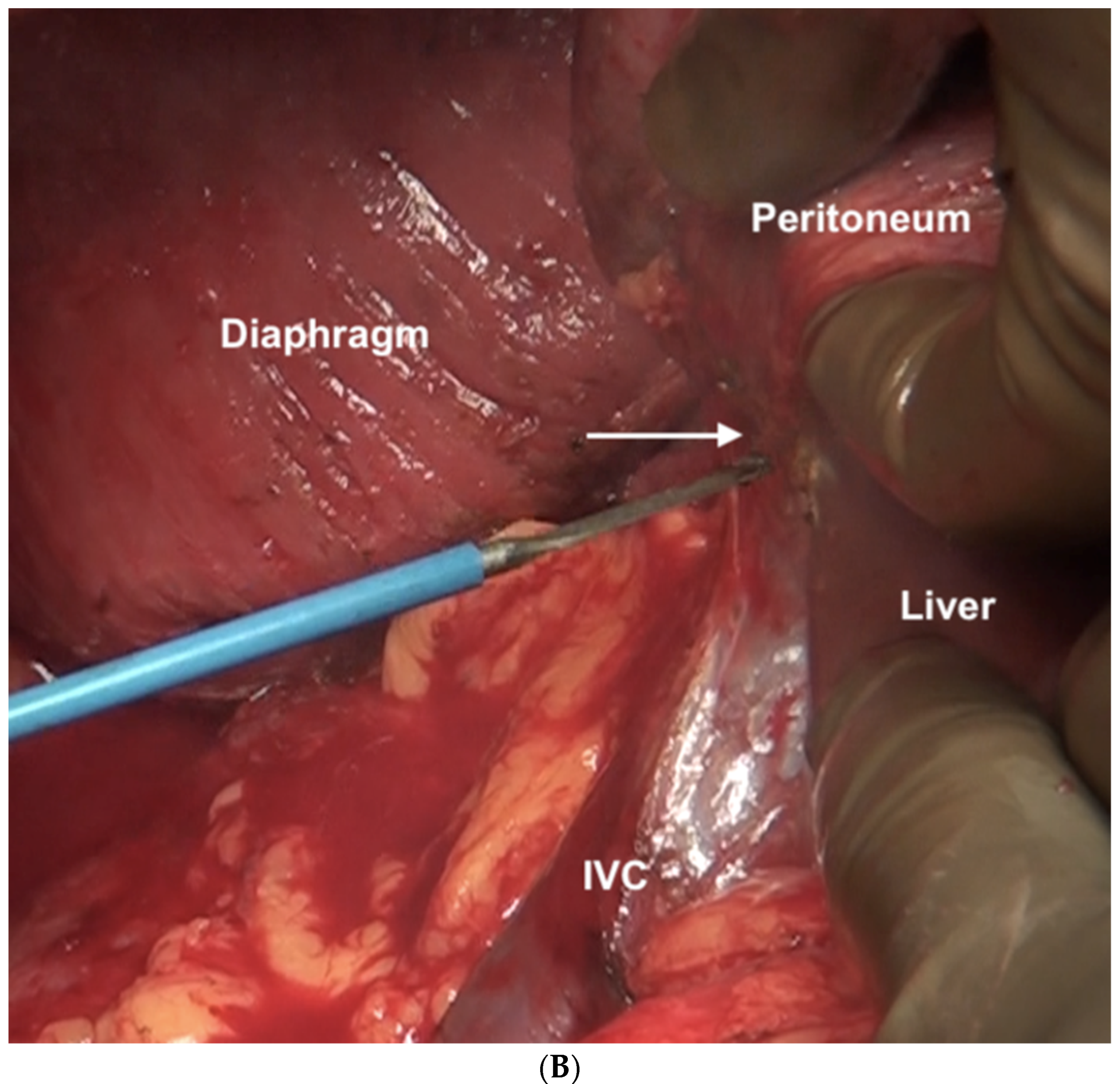 Std 12 00001 g012b Std 12 00001 g012b