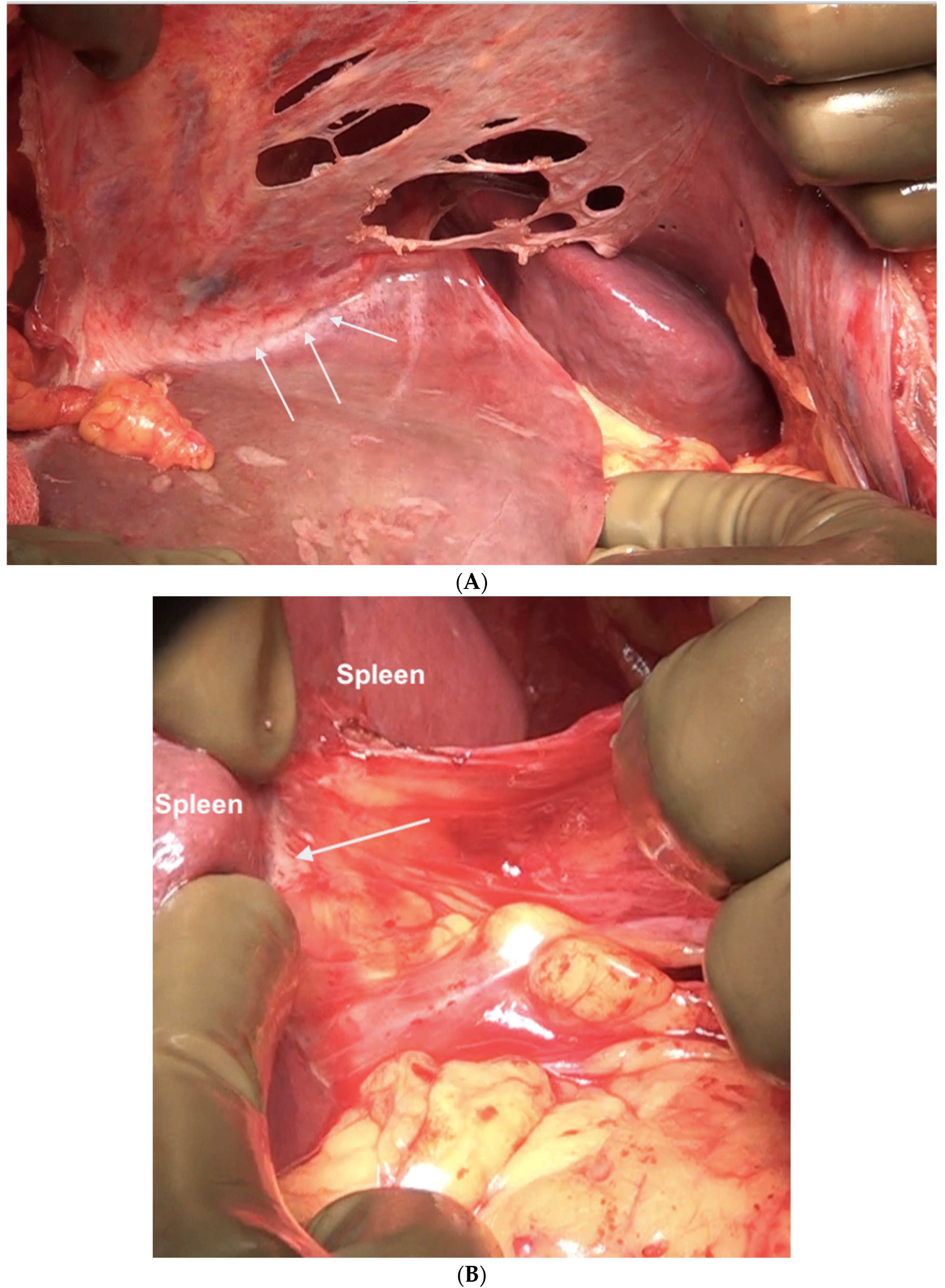 Std 12 00001 g016a Std 12 00001 g016a