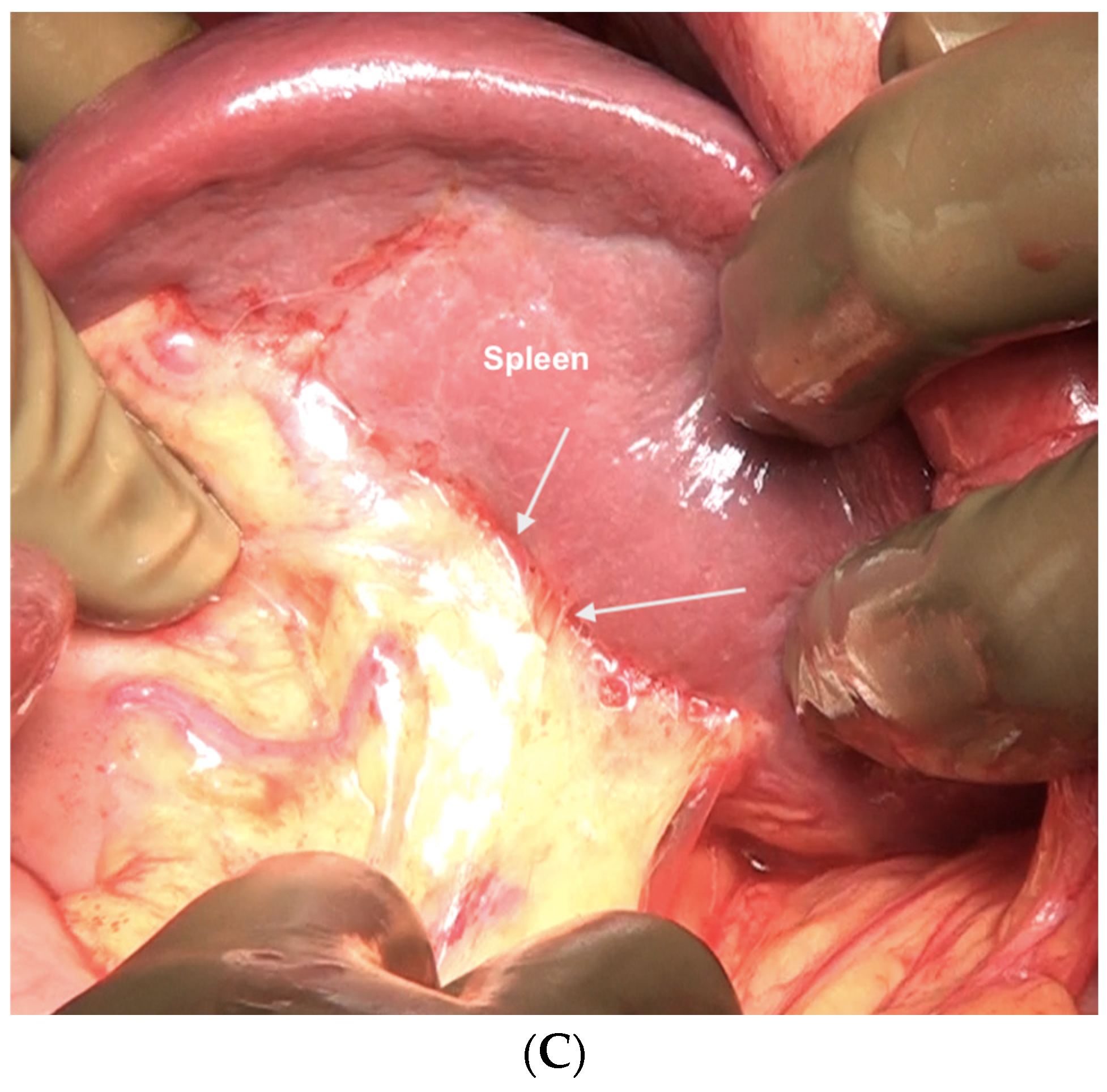 Std 12 00001 g016b Std 12 00001 g016b