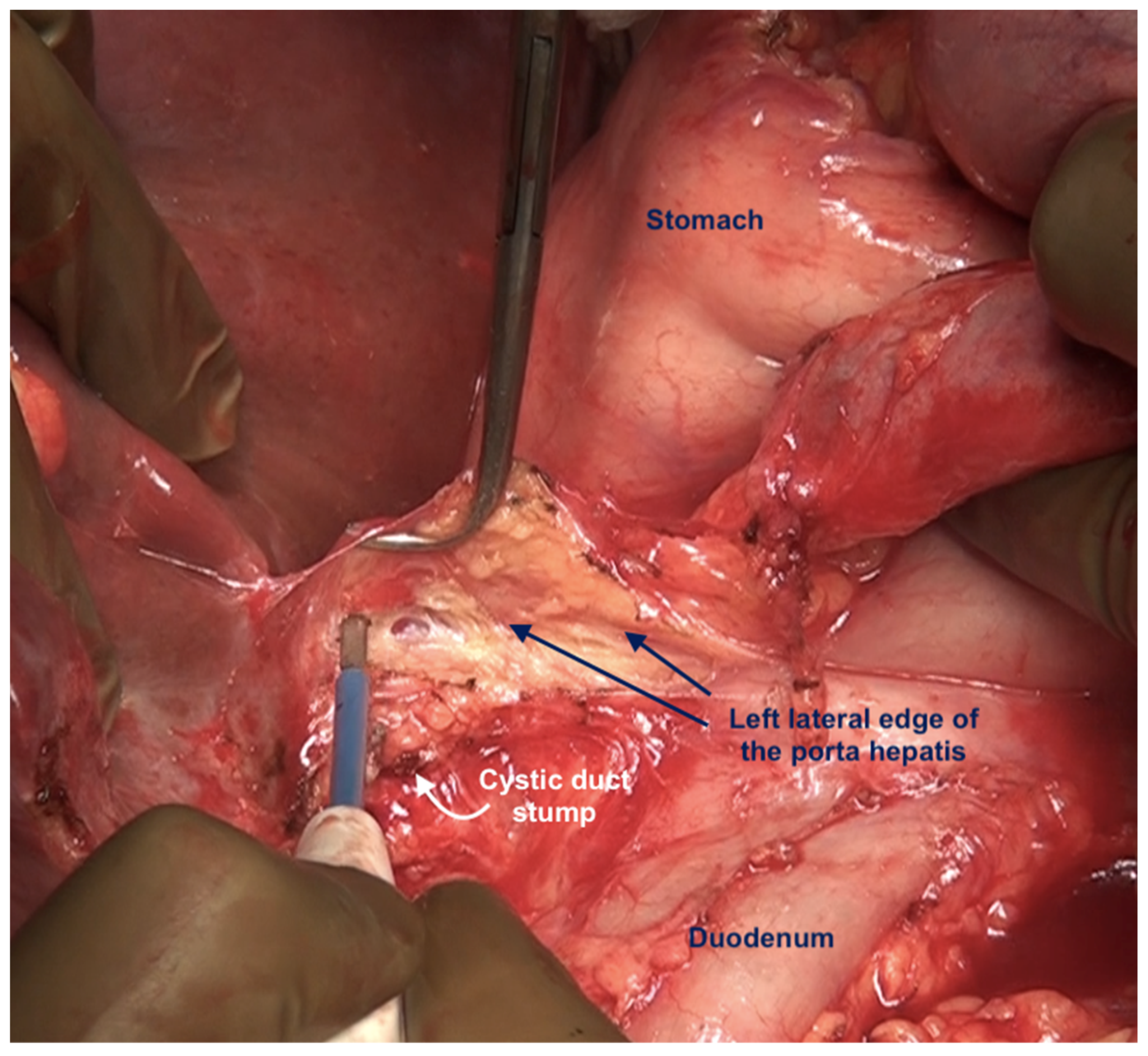 Std 12 00001 g022 Std 12 00001 g022