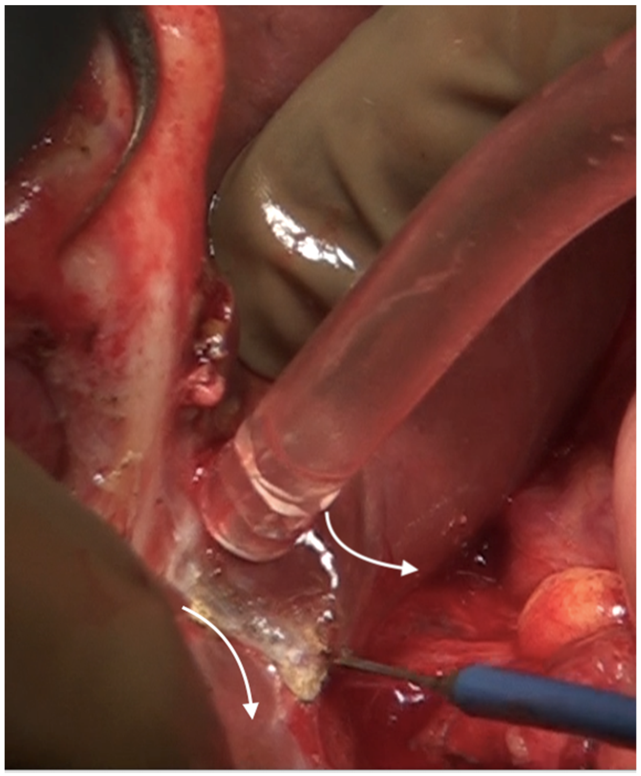 Std 12 00001 g026 Std 12 00001 g026