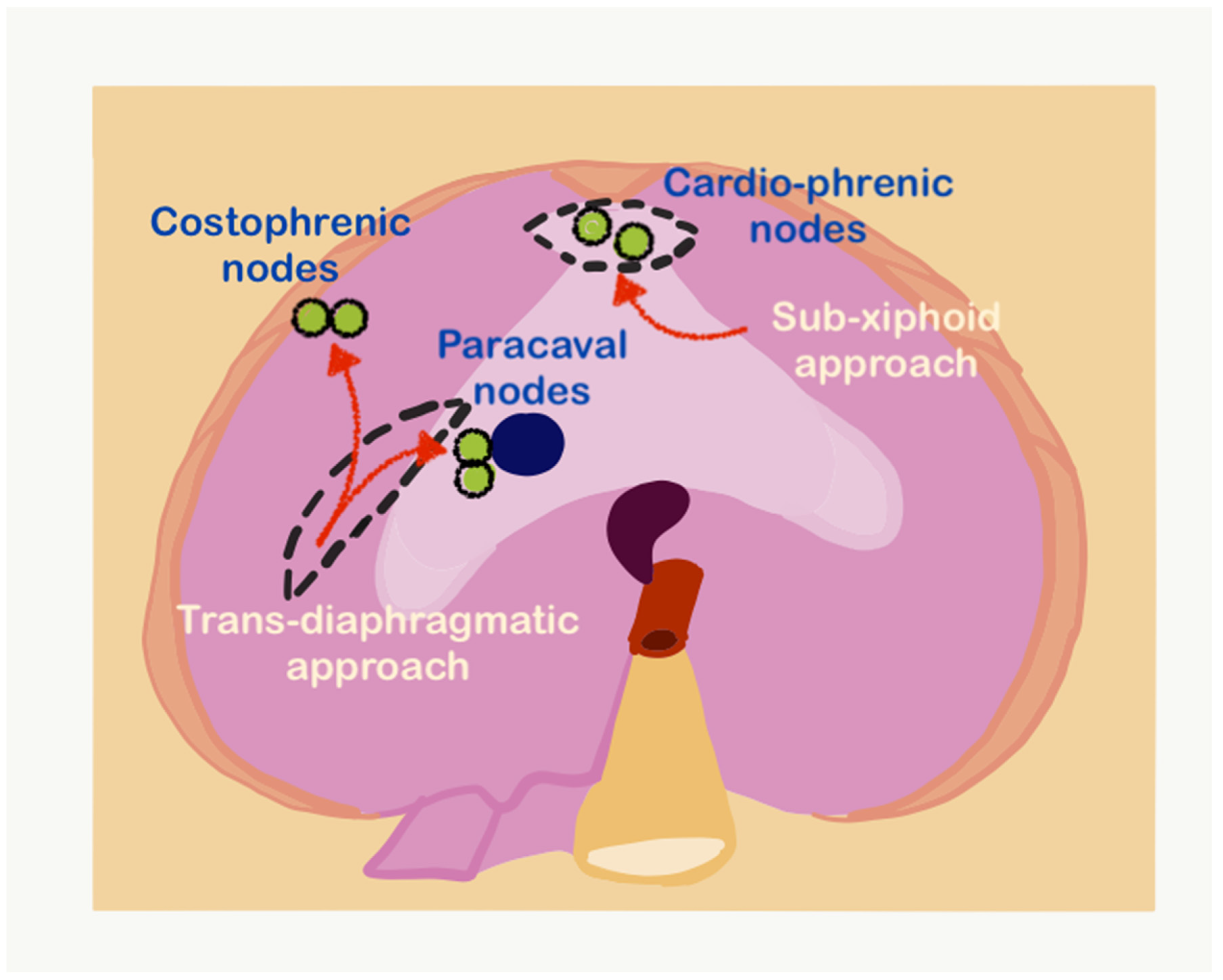 Std 12 00001 g028 Std 12 00001 g028