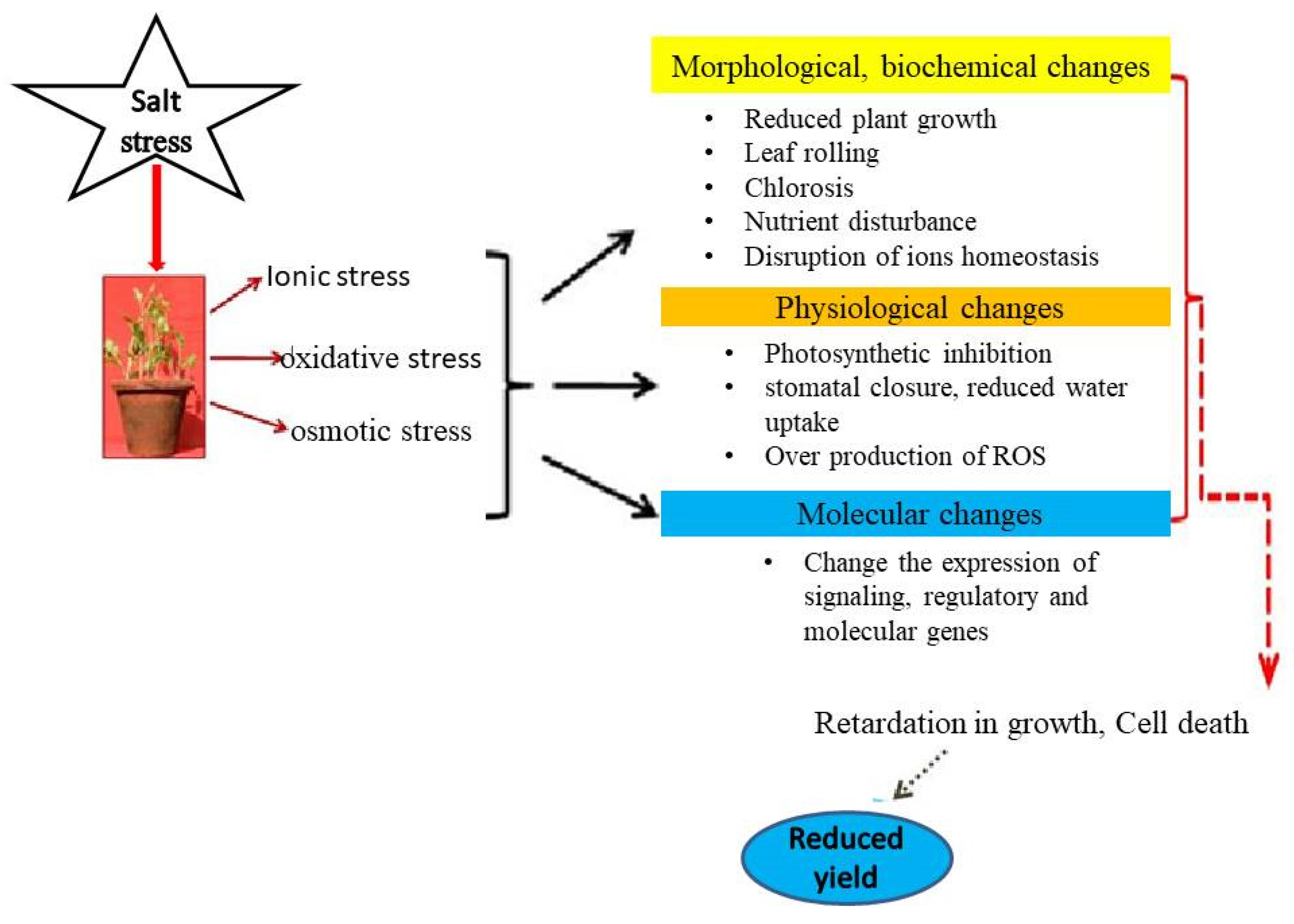 Stresses 01 00014 g001