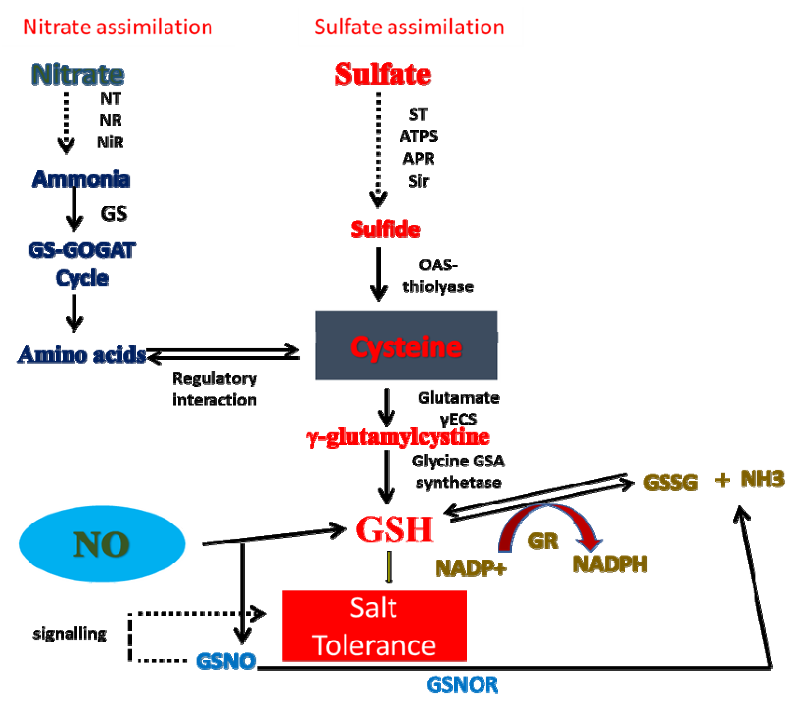 Stresses 01 00014 g002