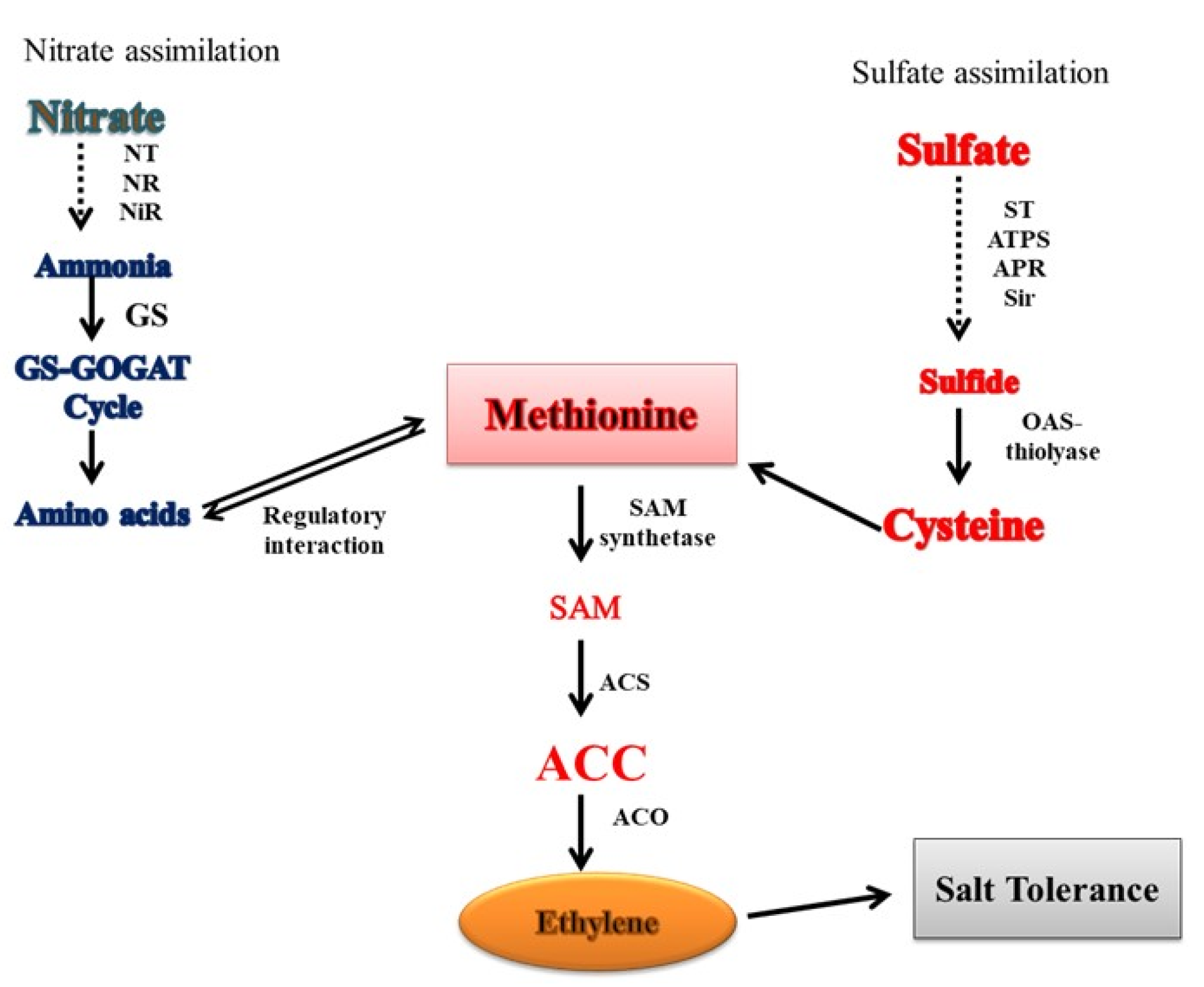 Stresses 01 00014 g003