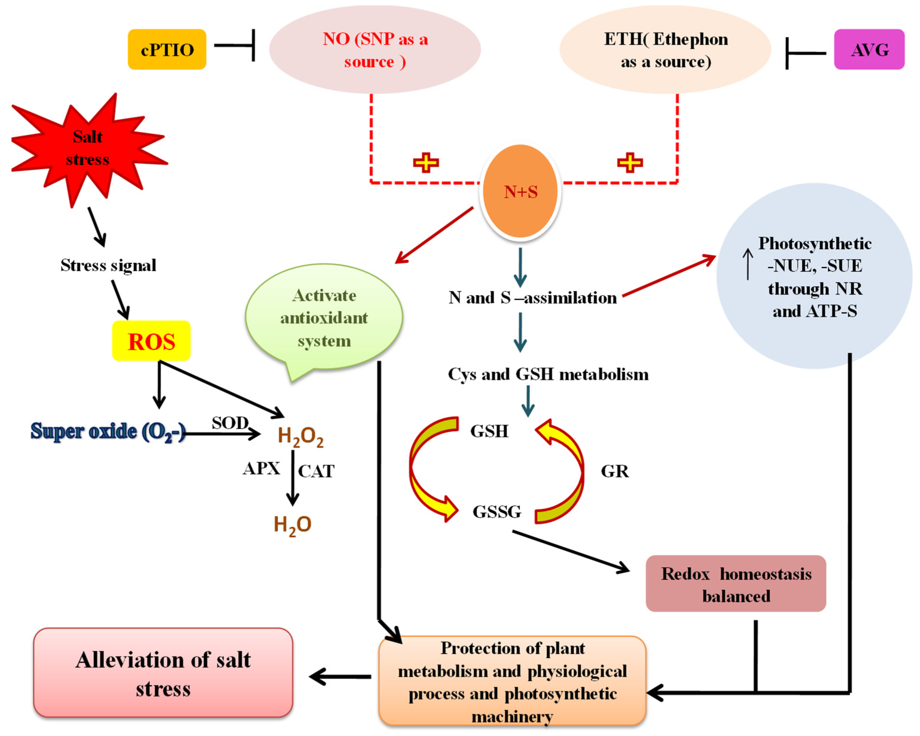 Stresses 01 00014 g004