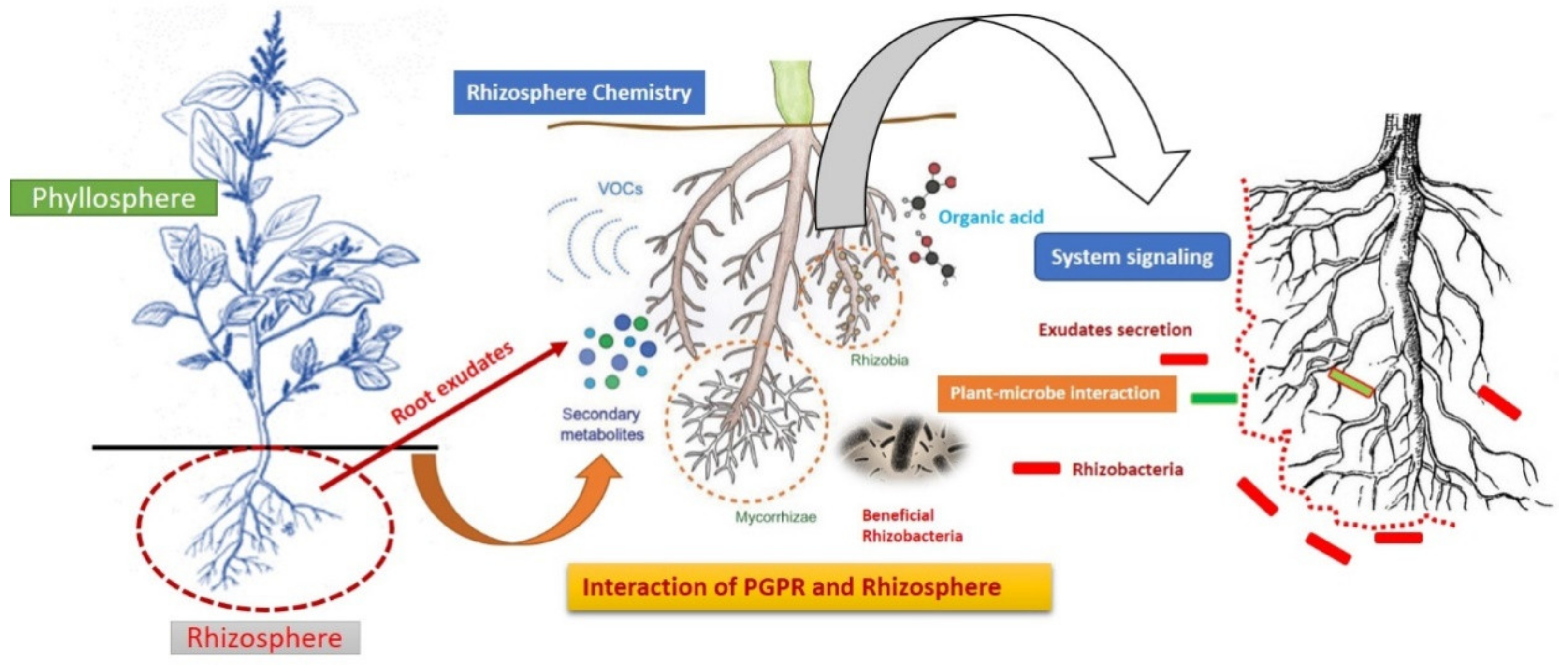 Stresses 01 00015 g001