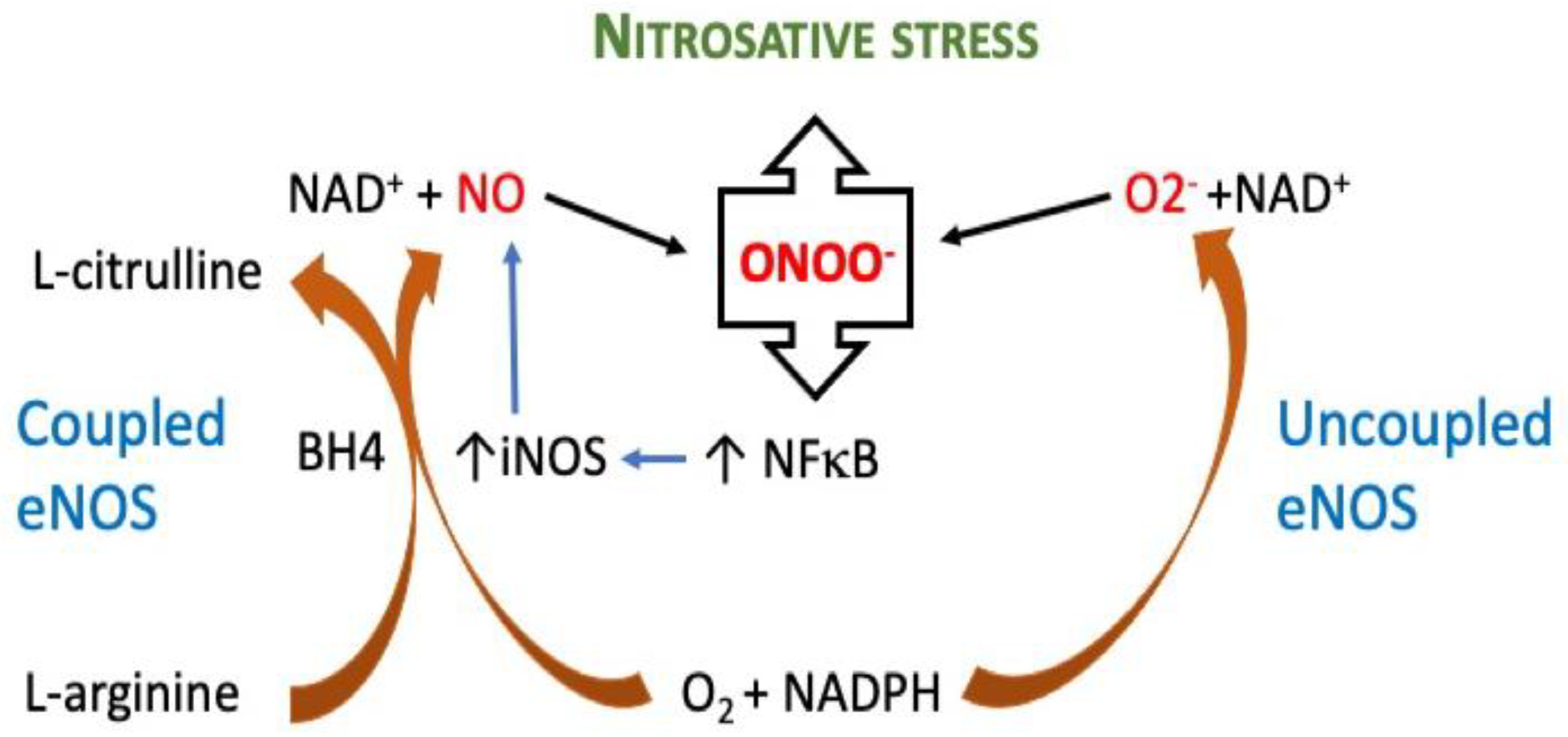 Stresses 02 00005 g002