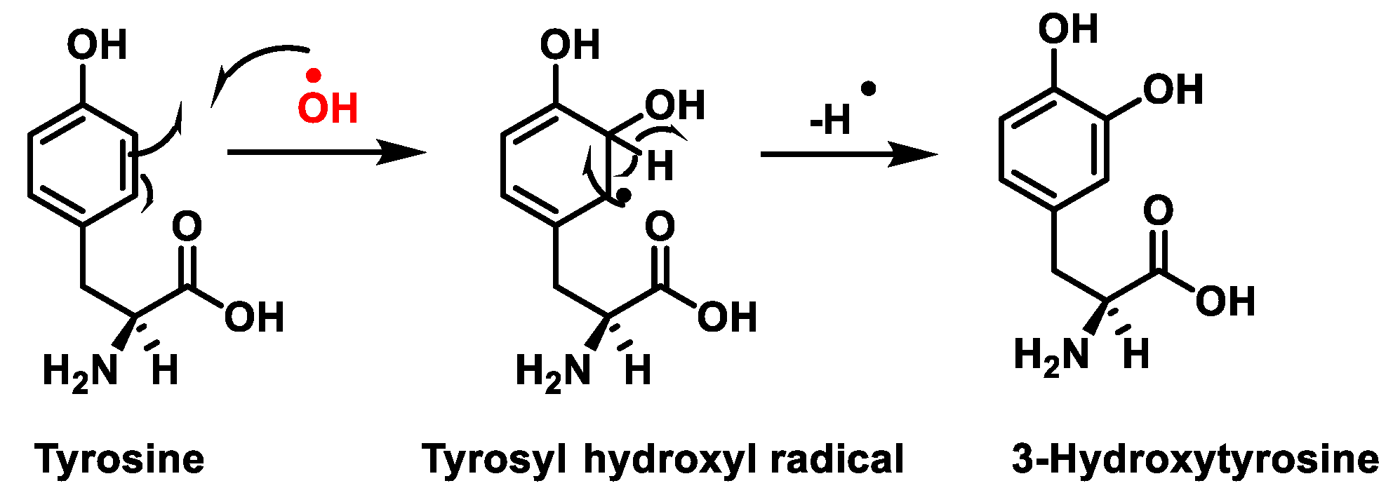 Stresses 02 00005 g007