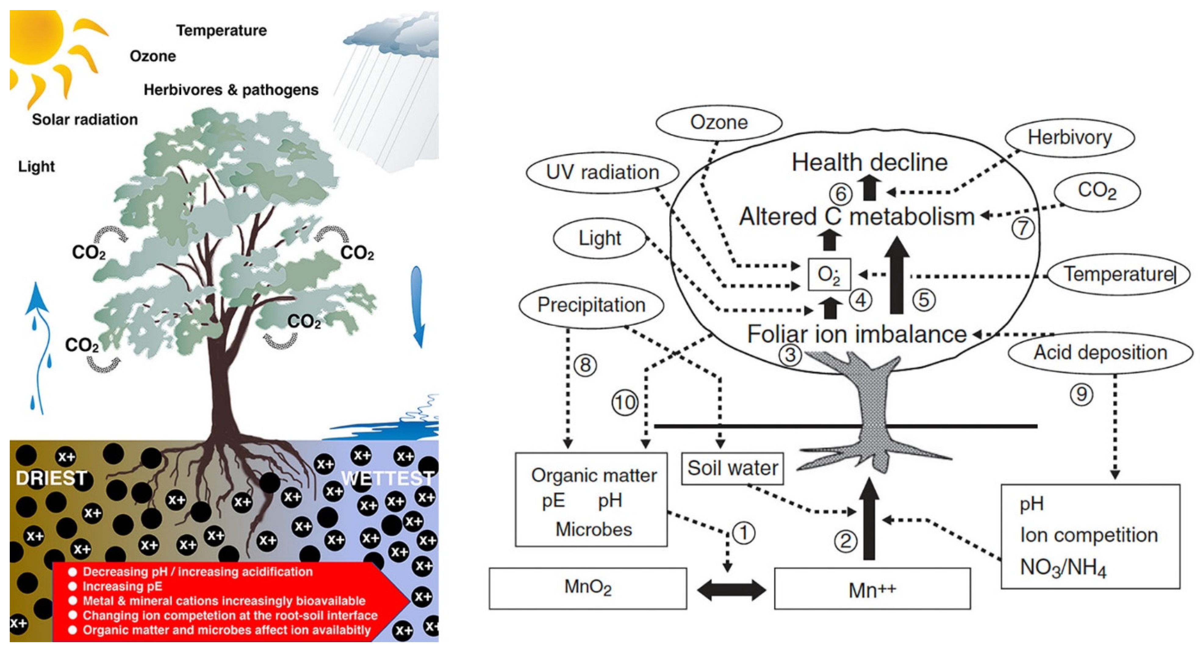 Stresses 02 00007 g001