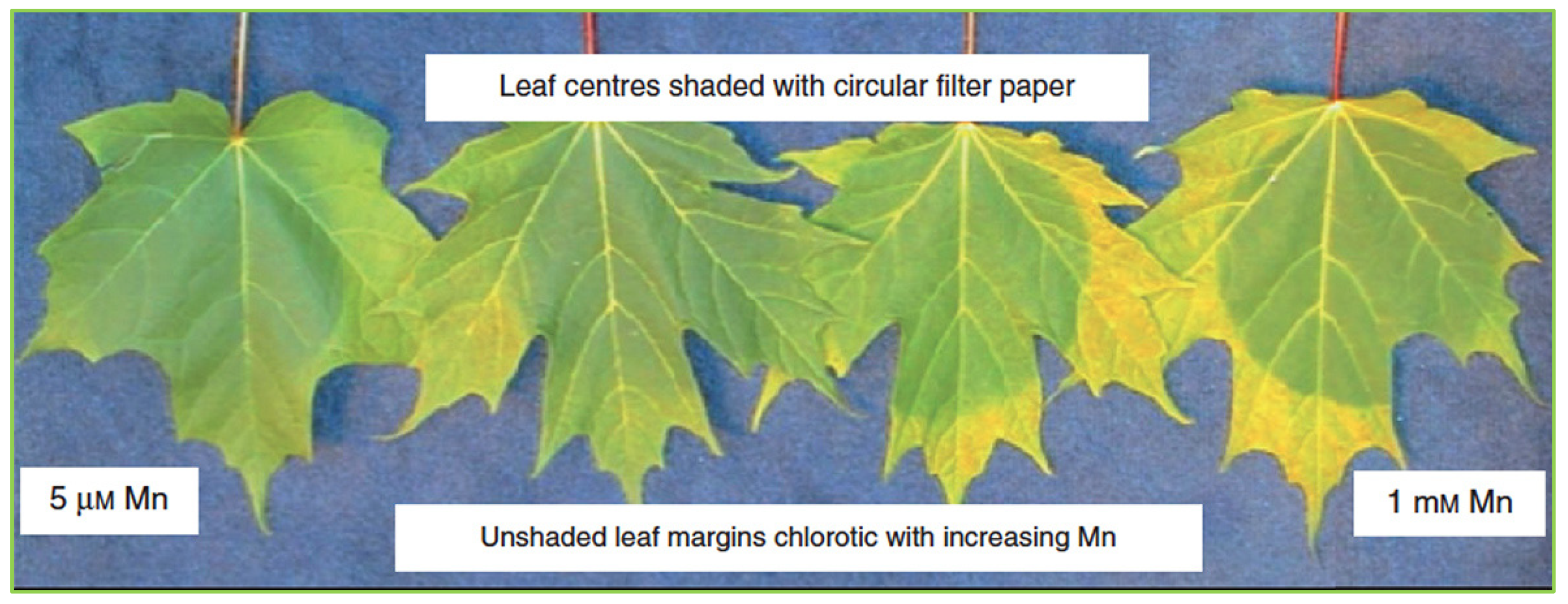 Stresses 02 00007 g003