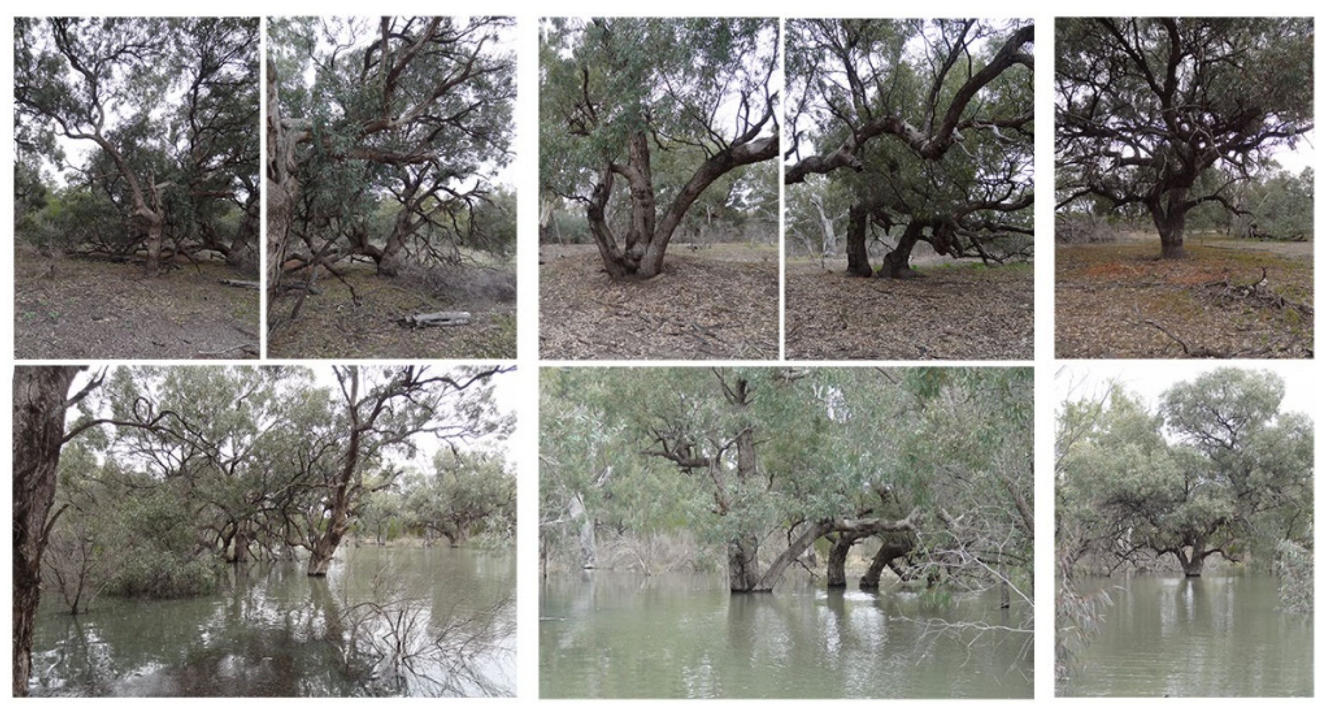 Stresses 02 00007 g006