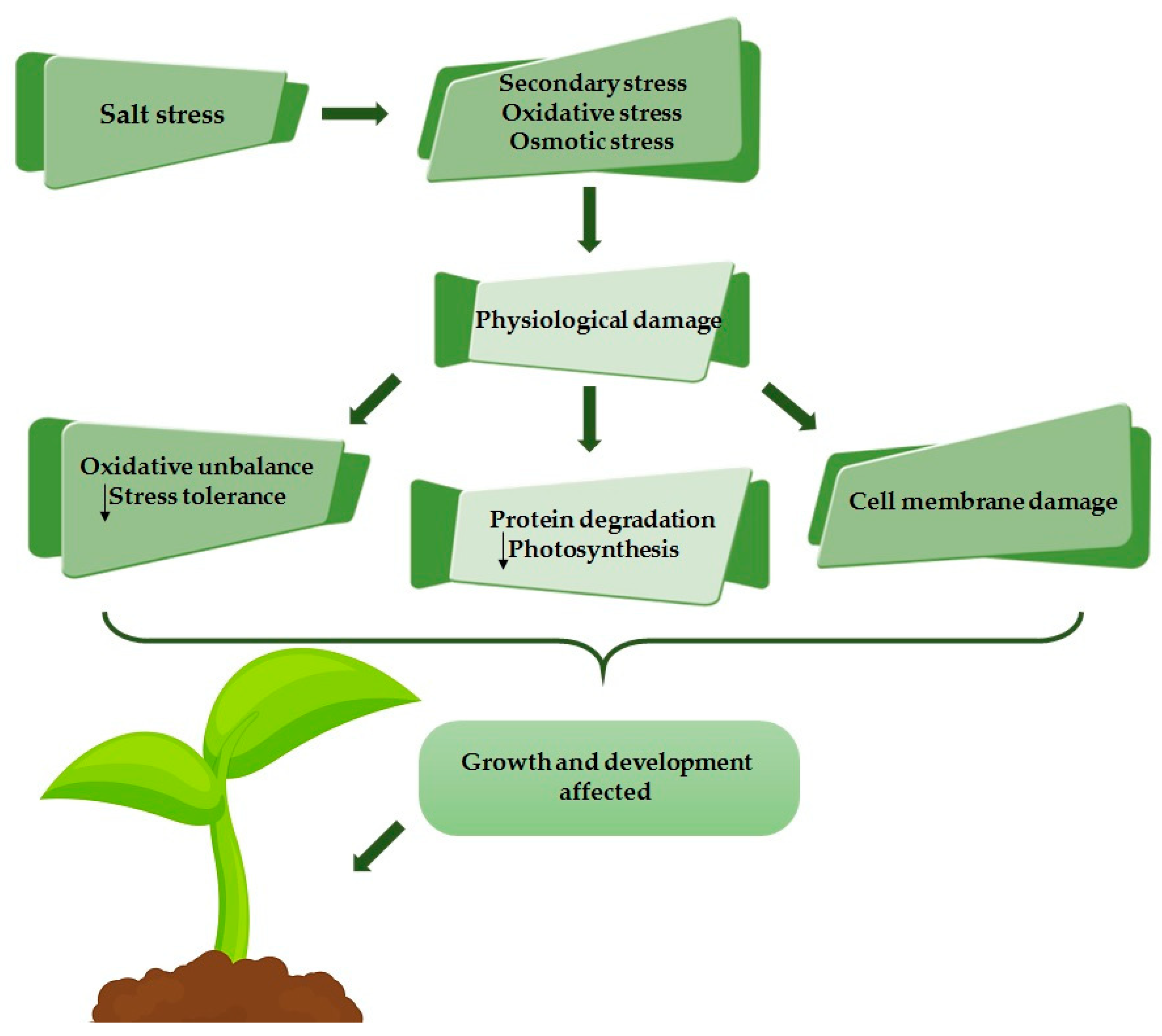 Stresses 02 00009 g002