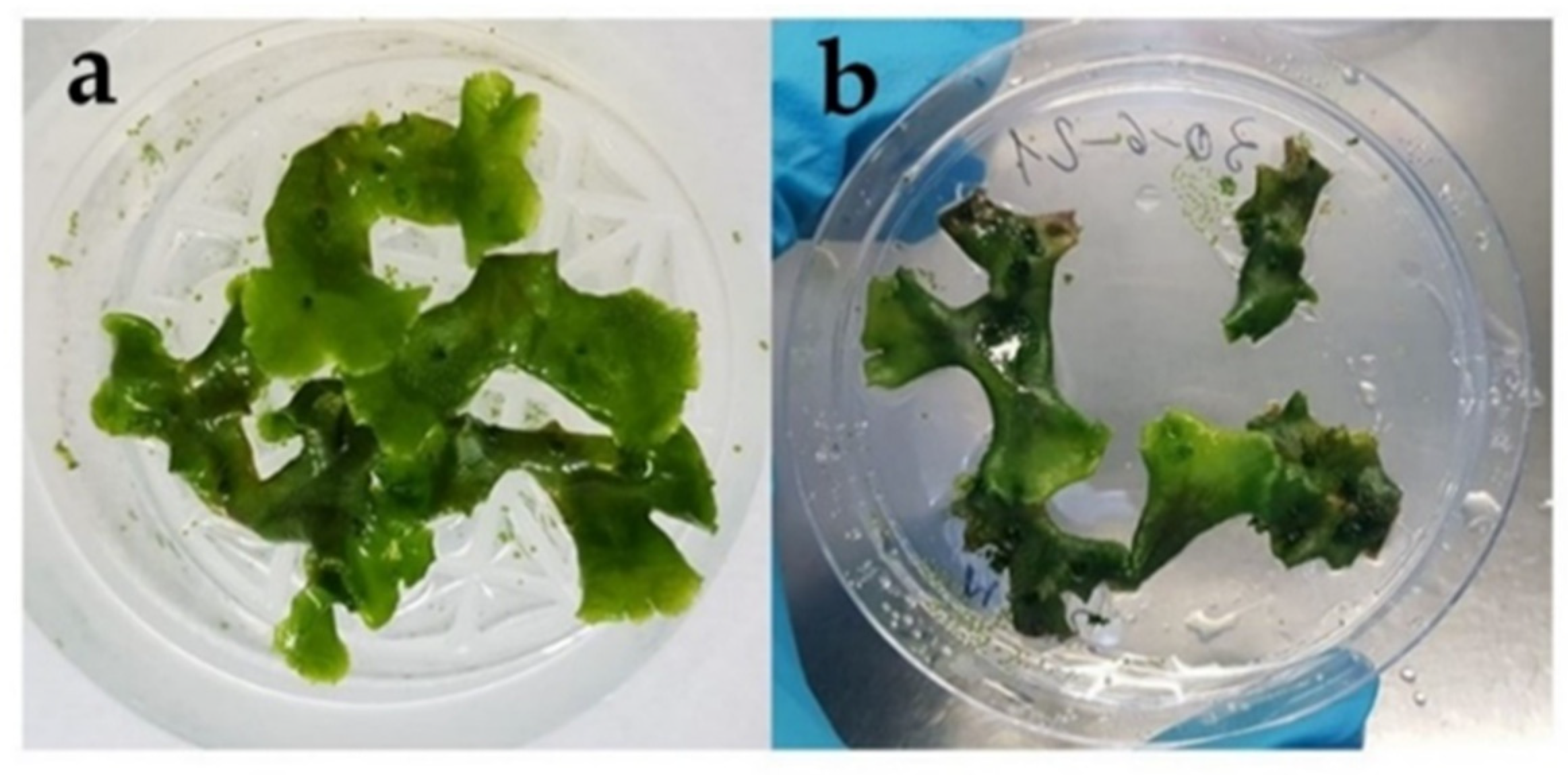 Stresses 02 00010 g002