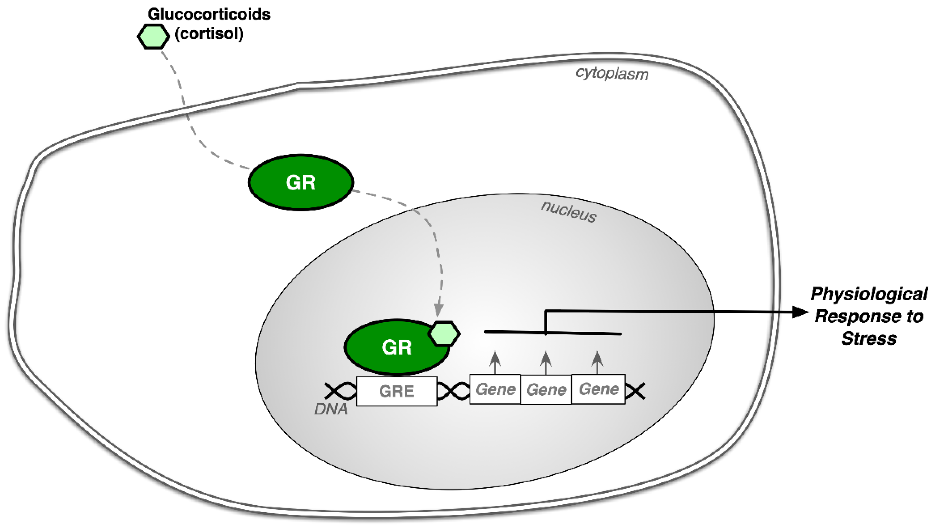 Stresses 02 00011 g002