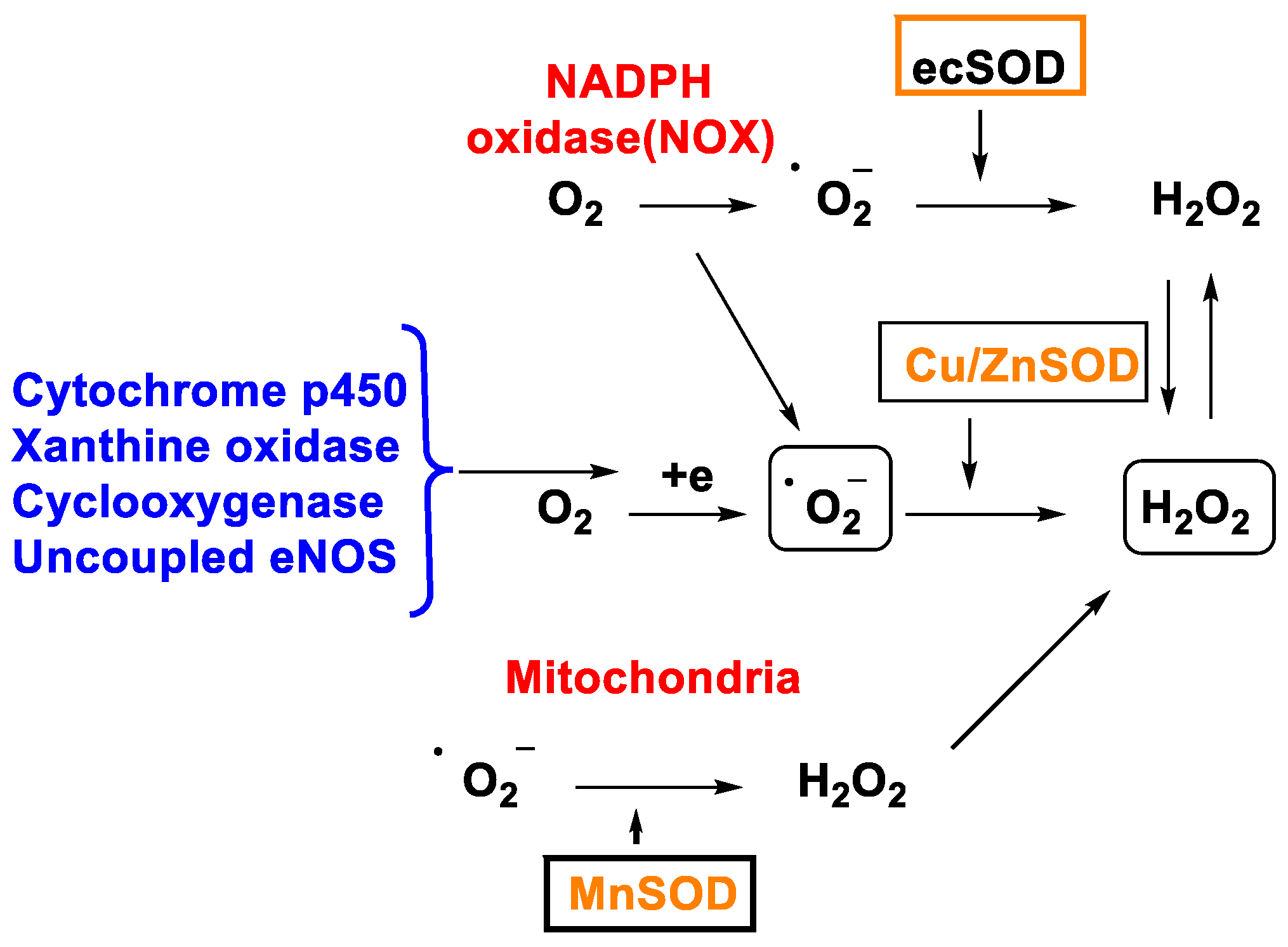 Stresses 02 00019 g002