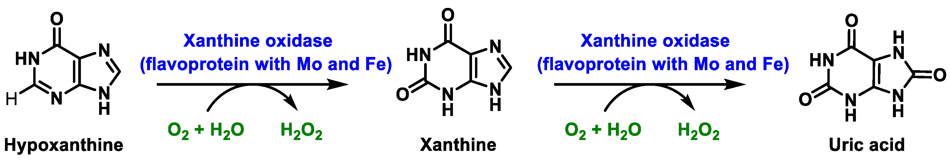 Stresses 02 00019 g006