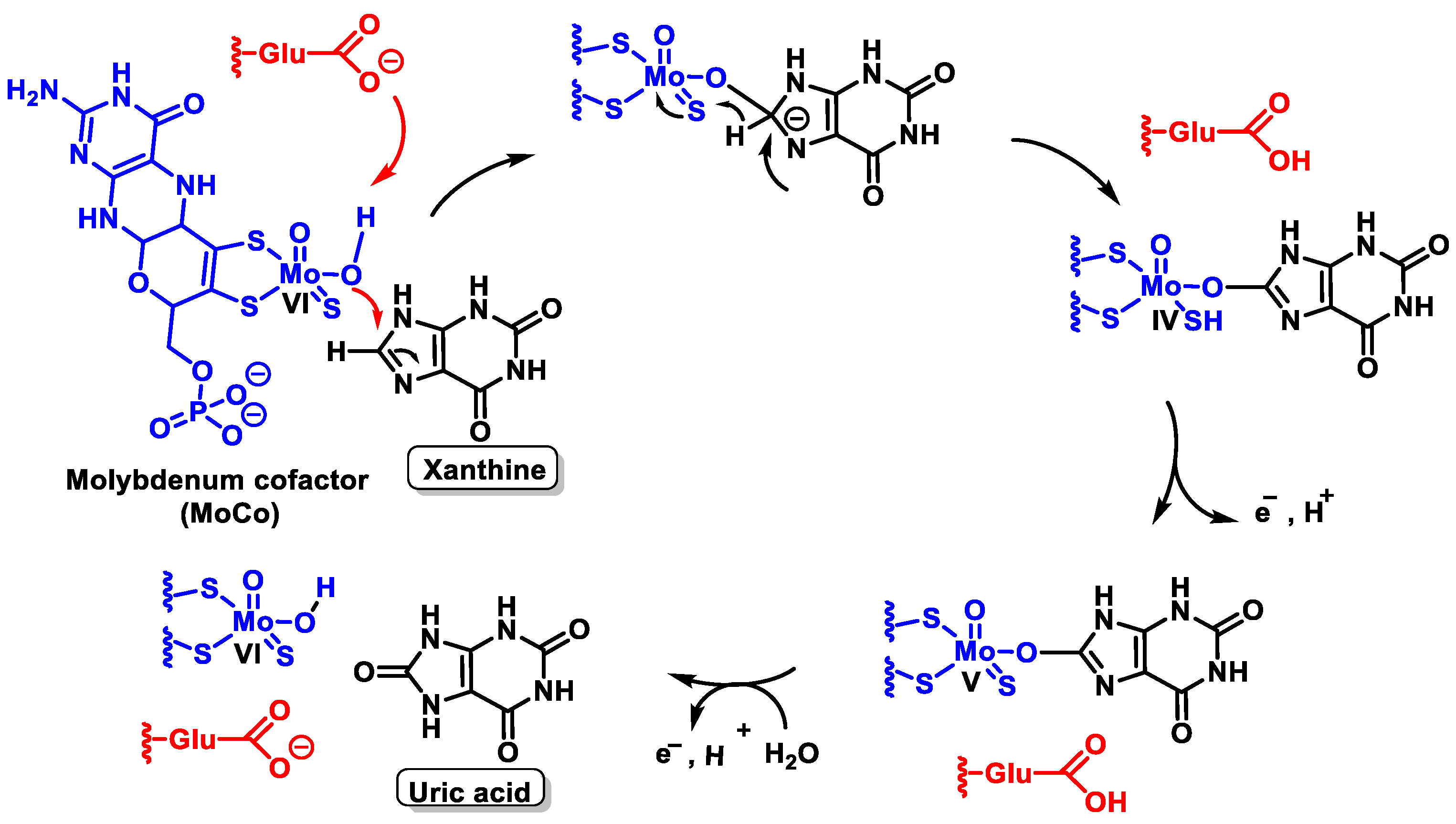 Stresses 02 00019 g008