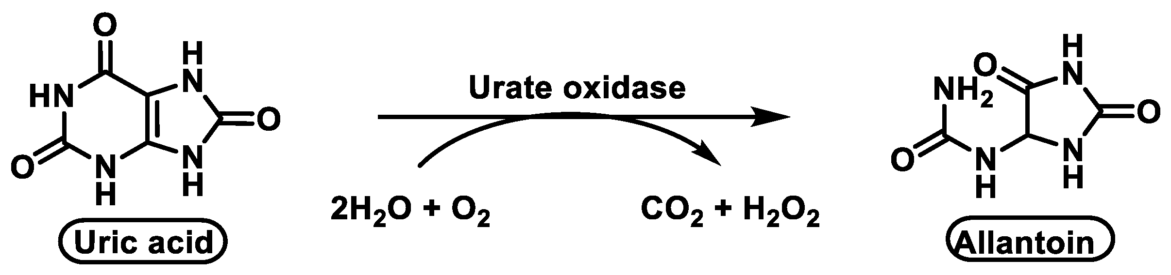 Stresses 02 00019 g009