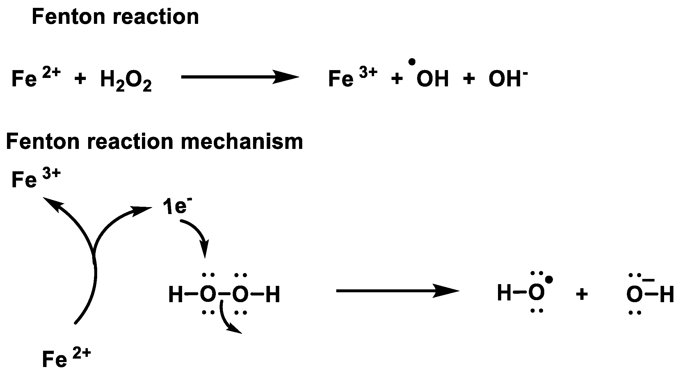 Stresses 02 00019 g013