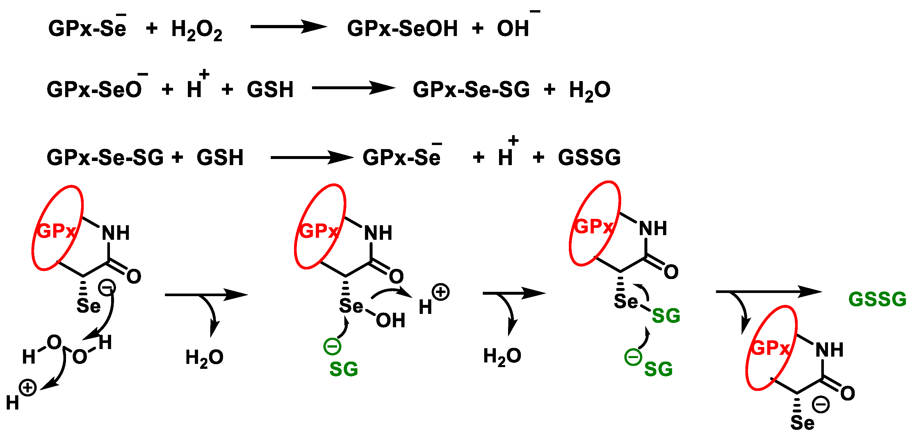 Stresses 02 00019 g015