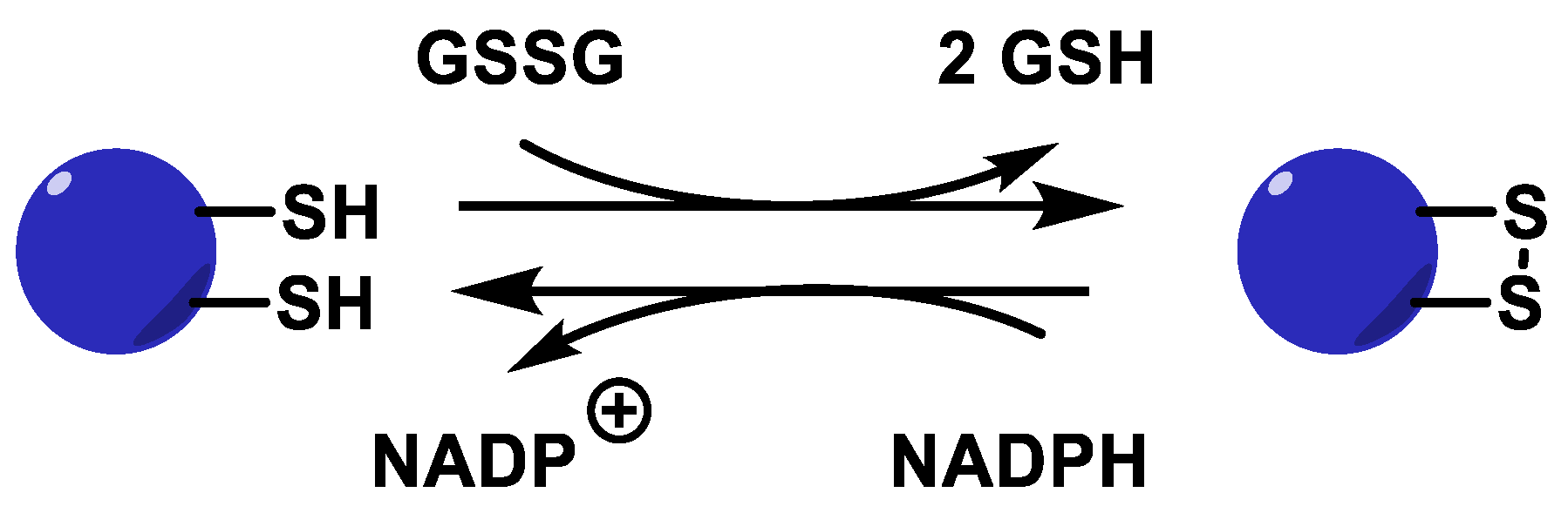 Stresses 02 00019 g016
