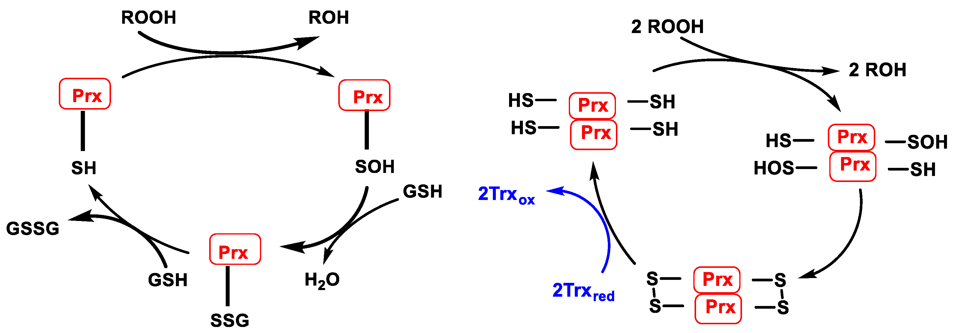 Stresses 02 00019 g017