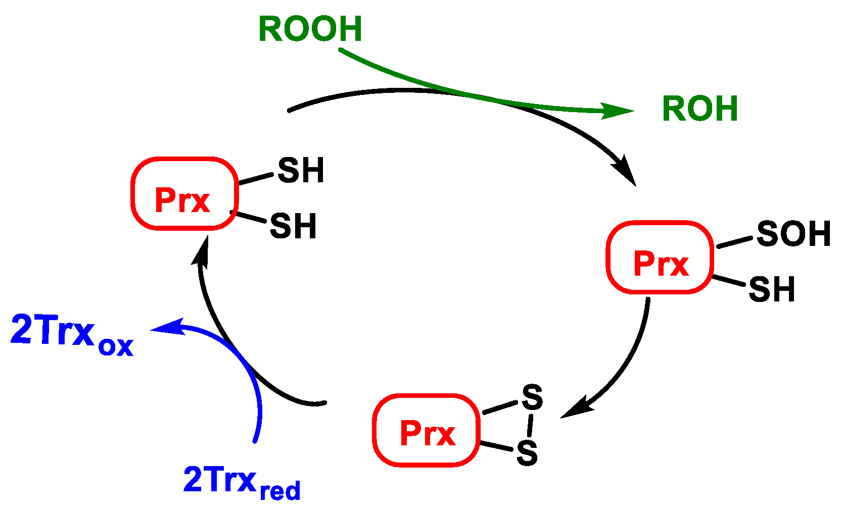 Stresses 02 00019 g018