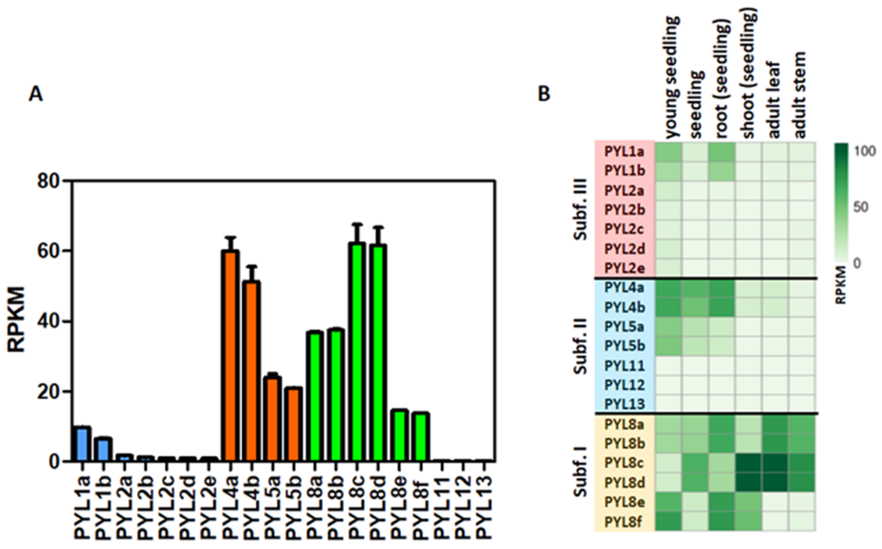 Stresses 02 00021 g005