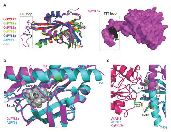 Stresses 02 00021 g010 550