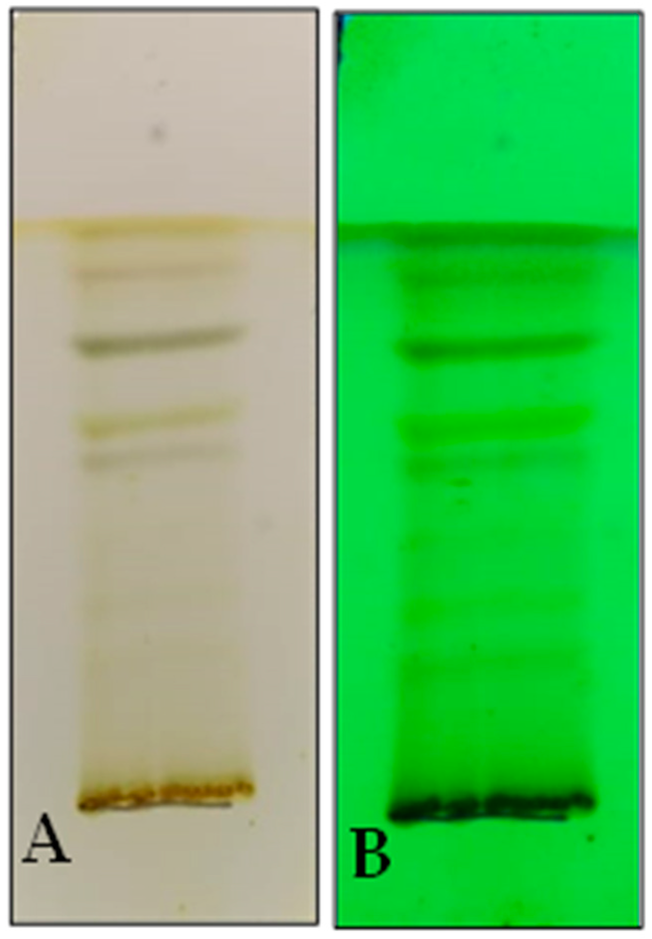 Stresses 02 00027 g001