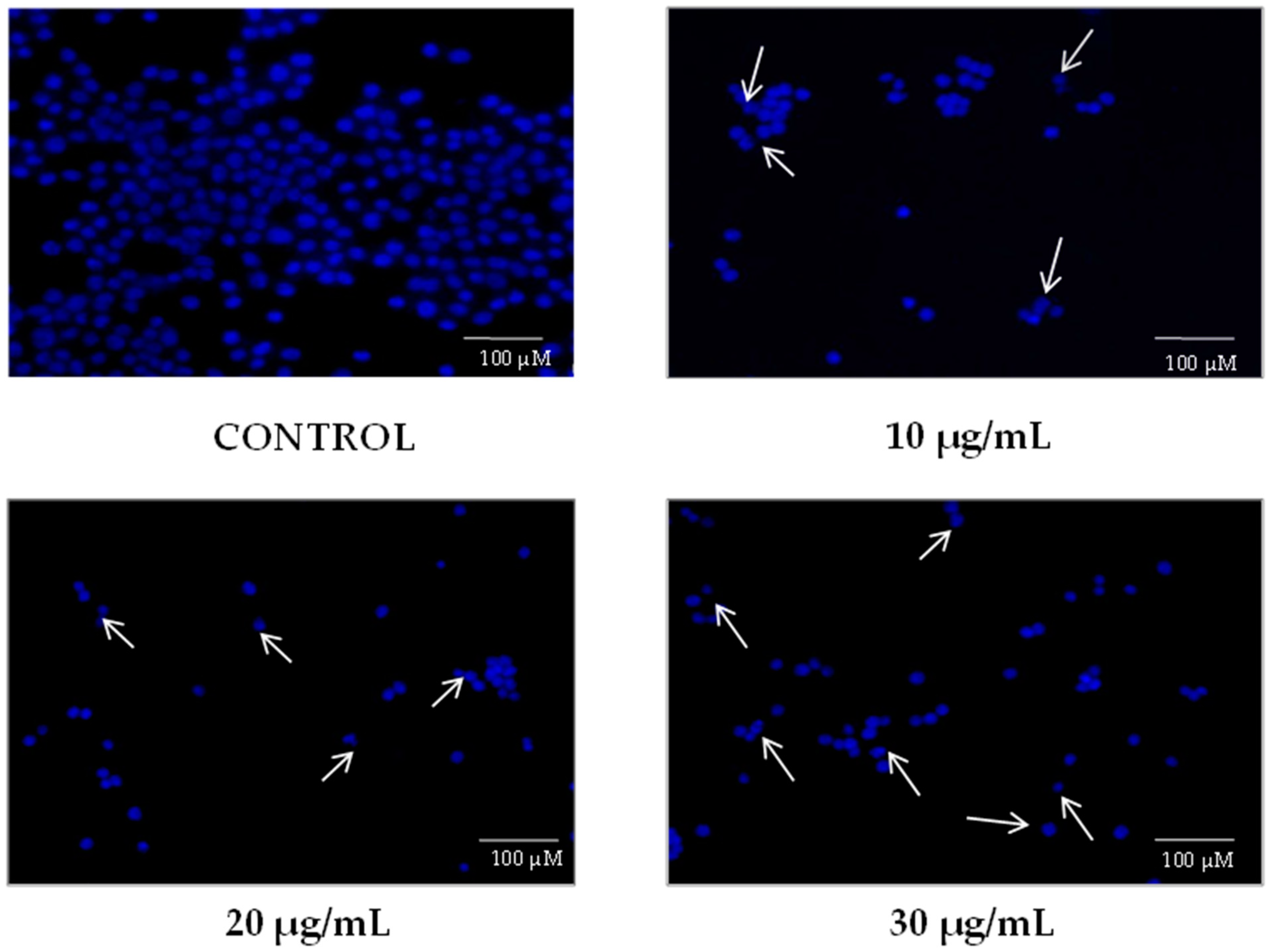Stresses 02 00027 g002