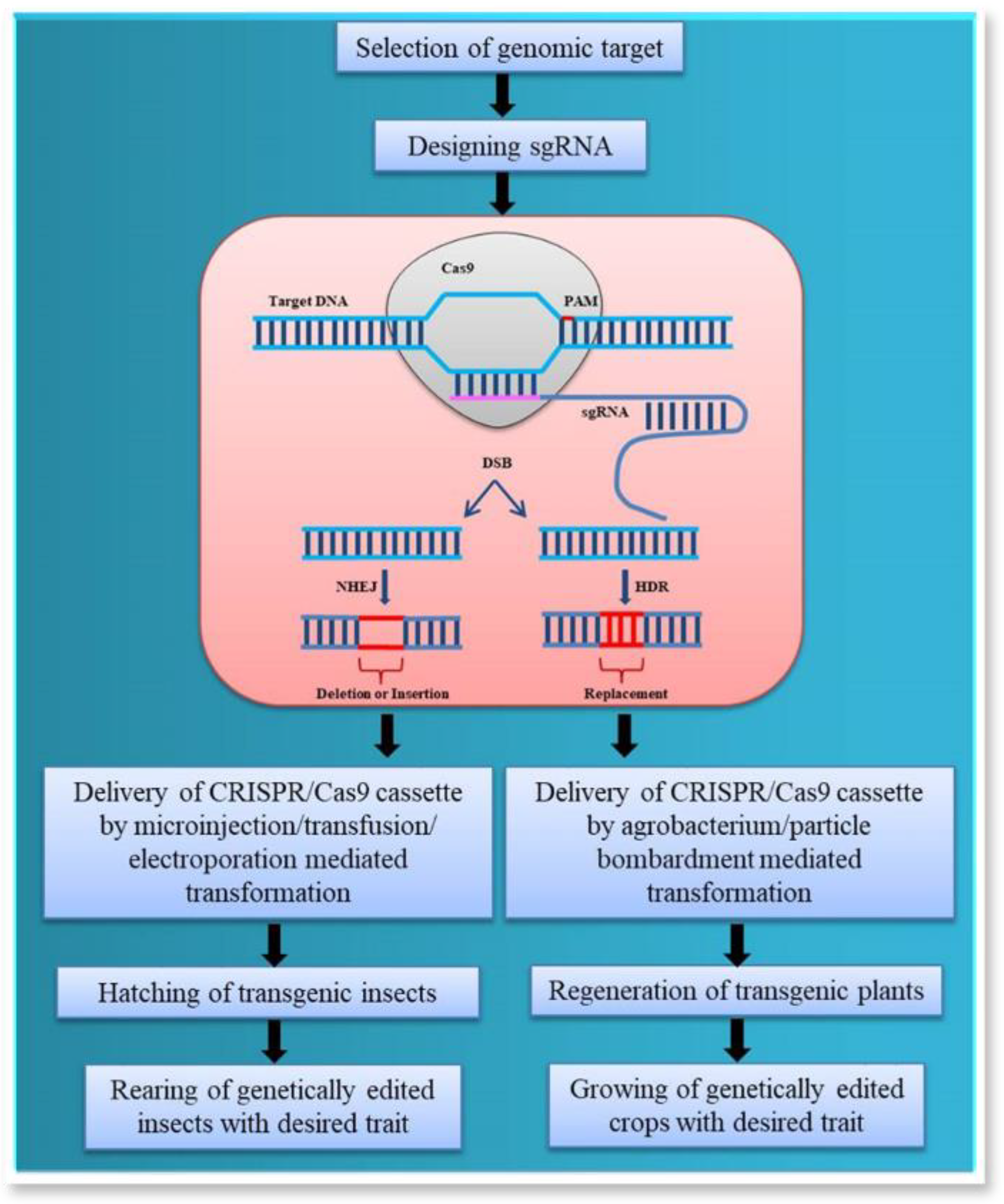 Stresses 02 00034 g001