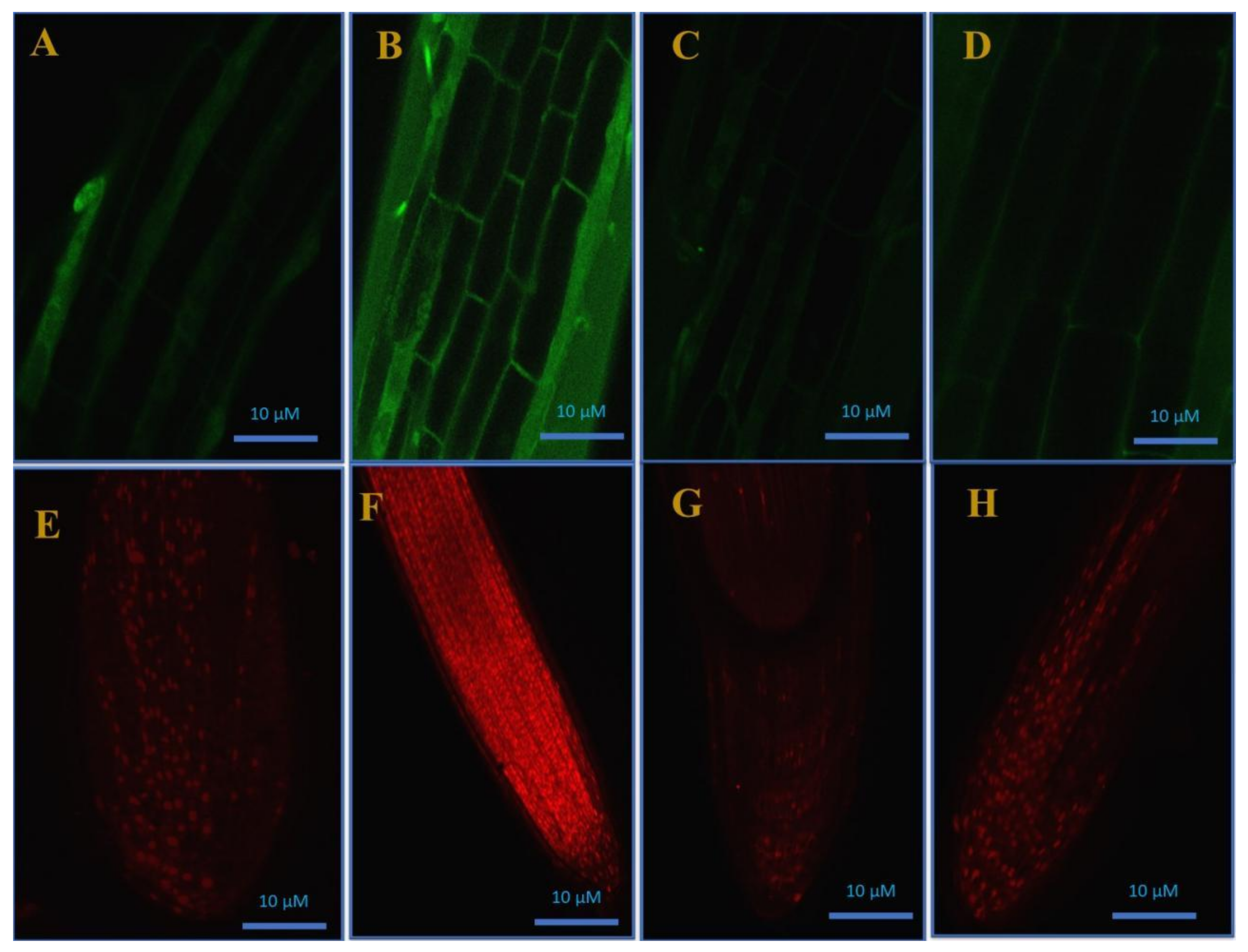 Stresses 02 00037 g005