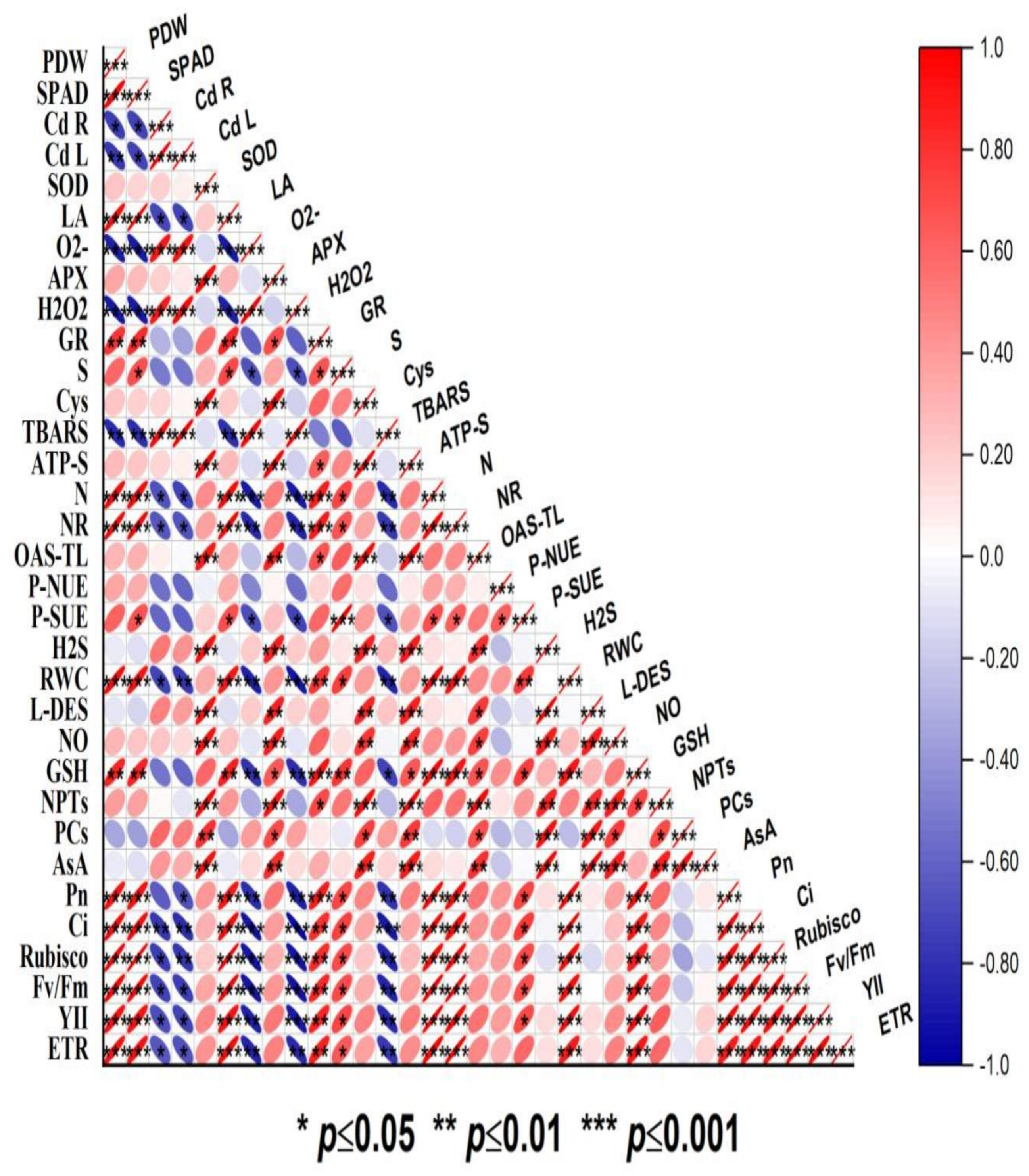 Stresses 02 00037 g006